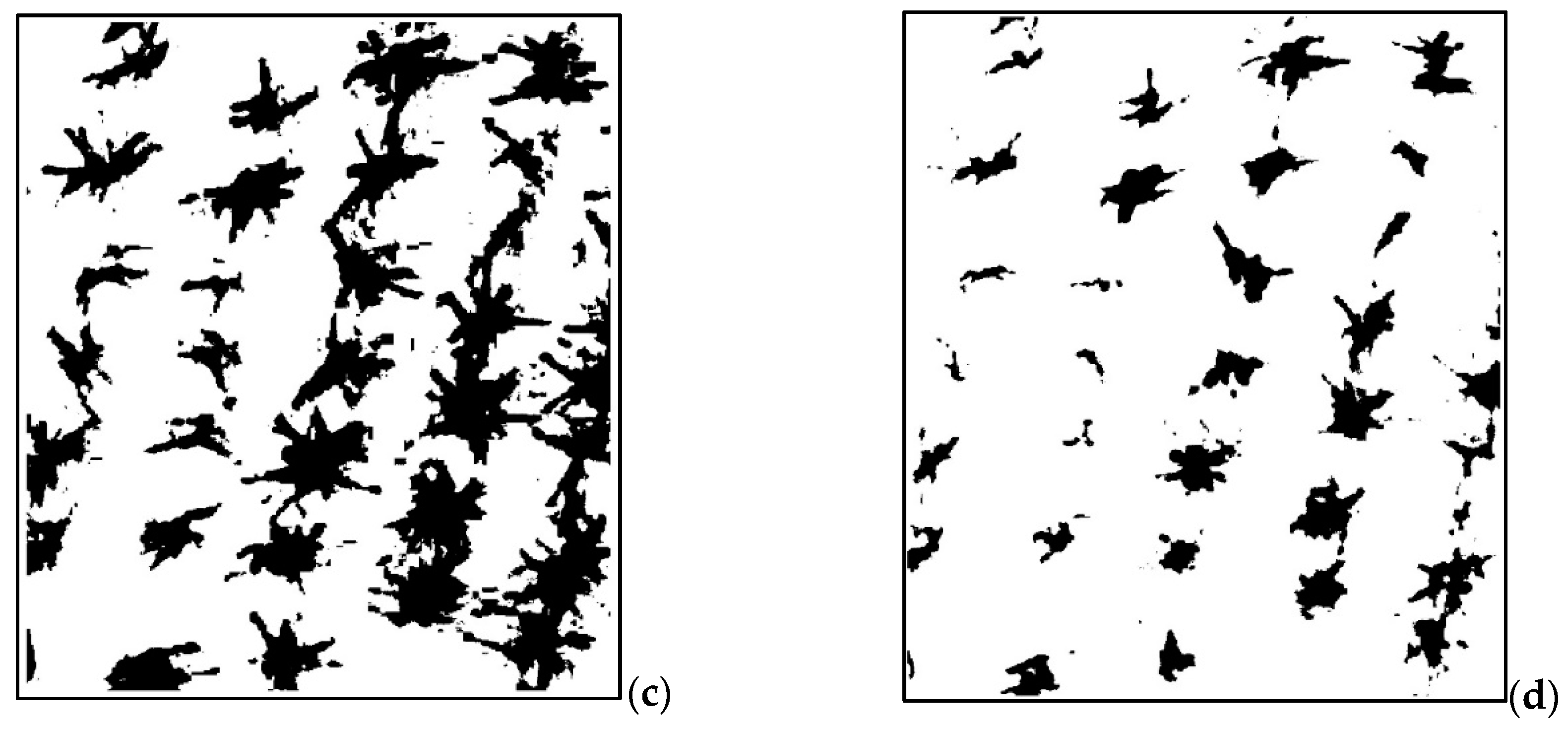 Agronomy 10 00469 g003b Agronomy 10 00469 g003b