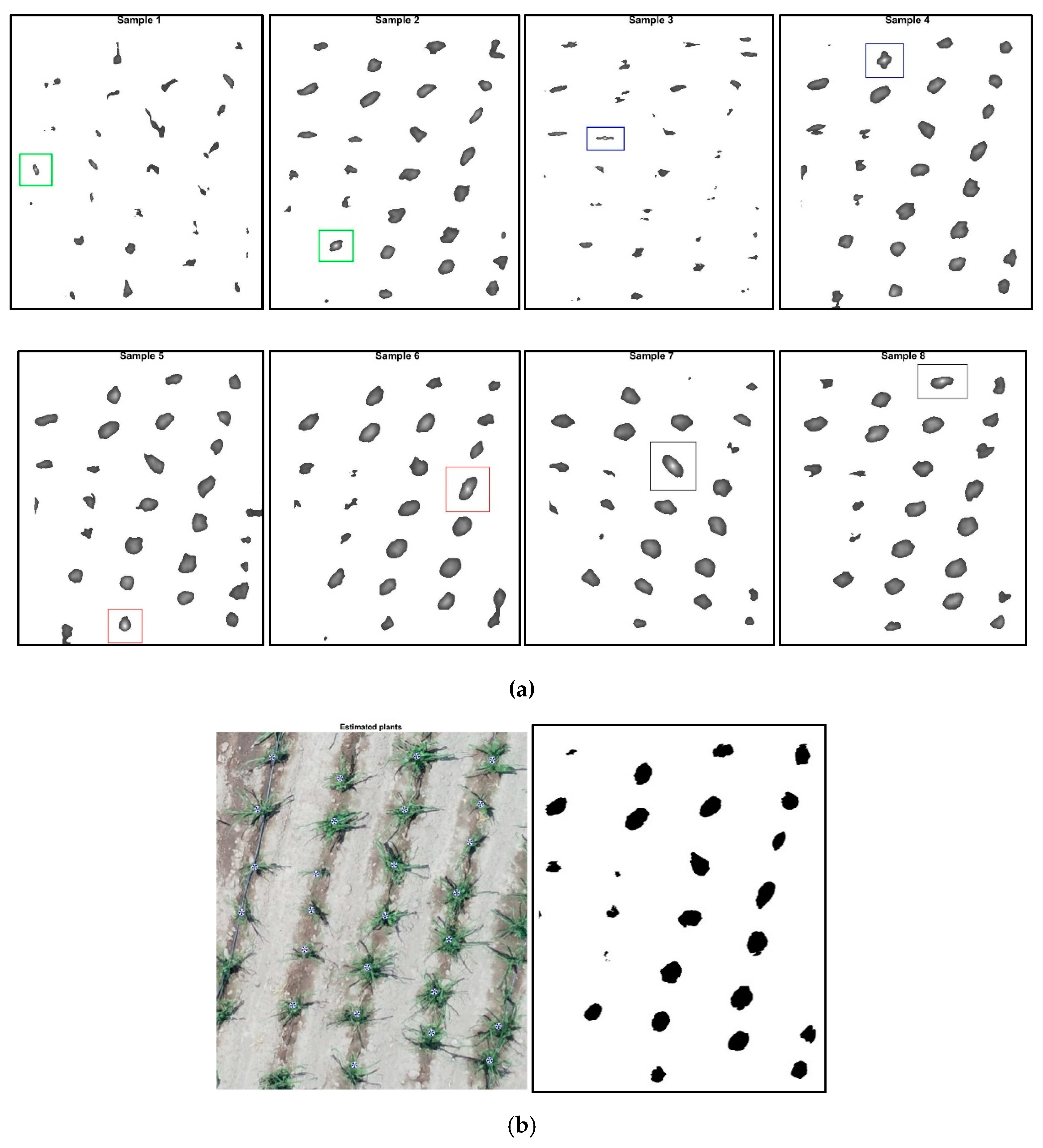 Agronomy 10 00469 g004 Agronomy 10 00469 g004
