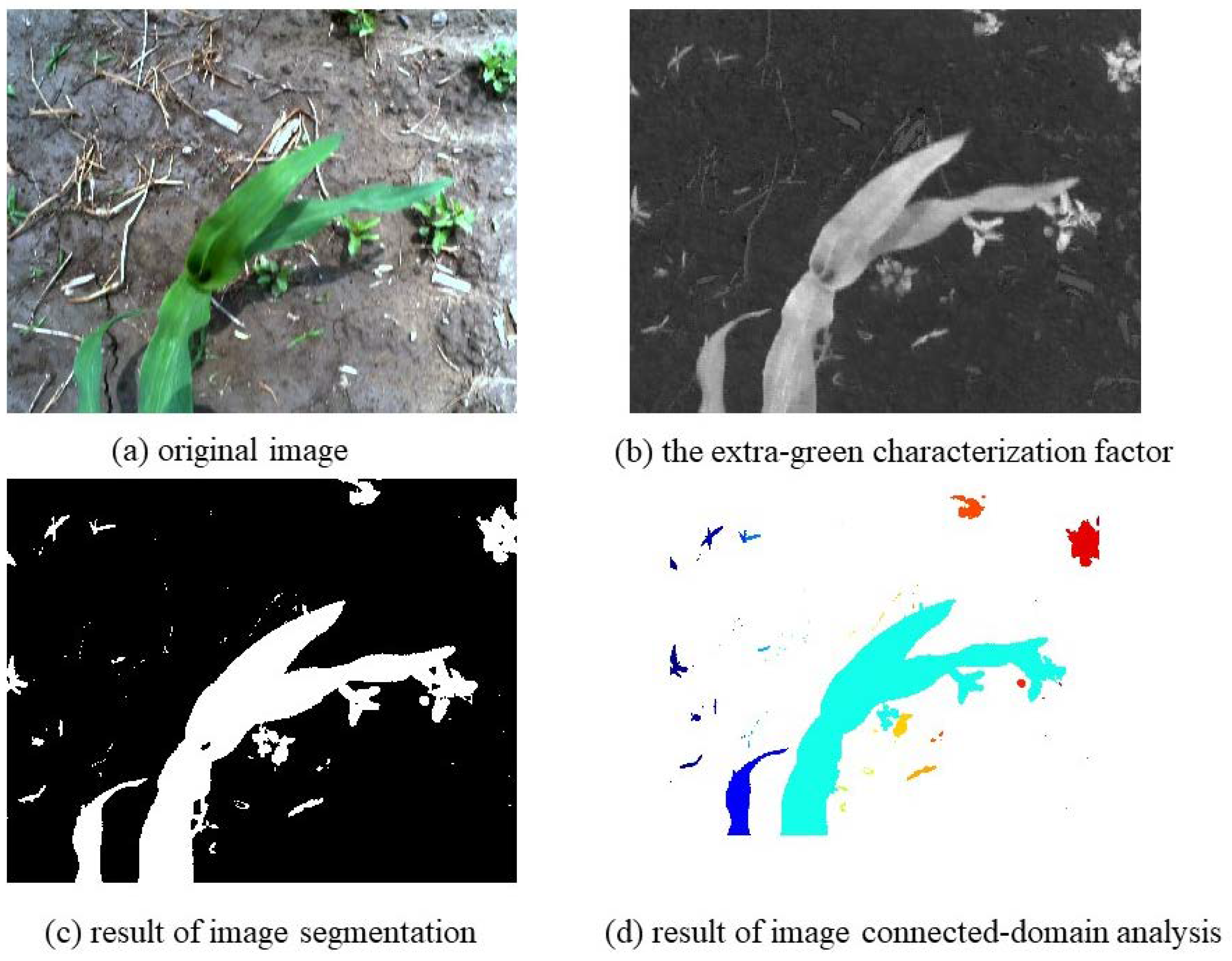Agronomy 10 00470 g003