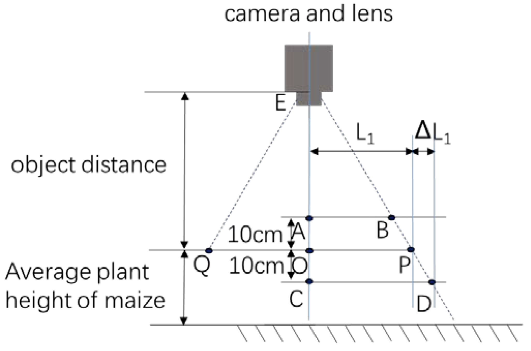 Agronomy 10 00470 g013