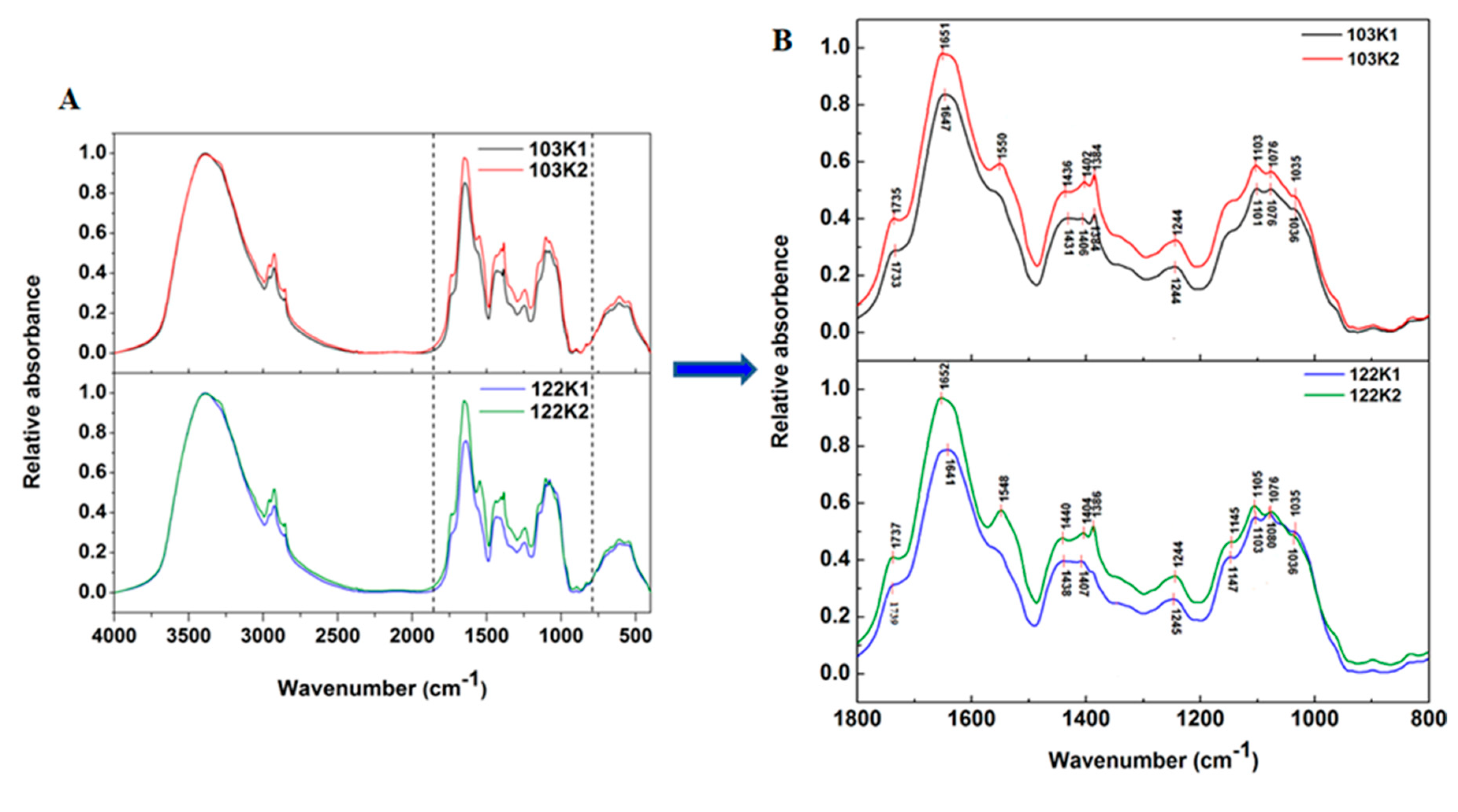 Agronomy 10 00479 g003 Agronomy 10 00479 g003