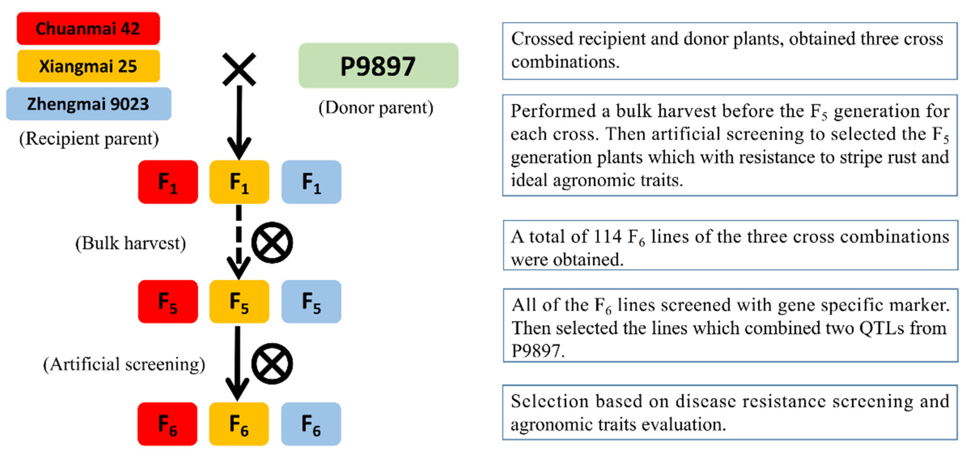 Agronomy 10 00483 g001 Agronomy 10 00483 g001