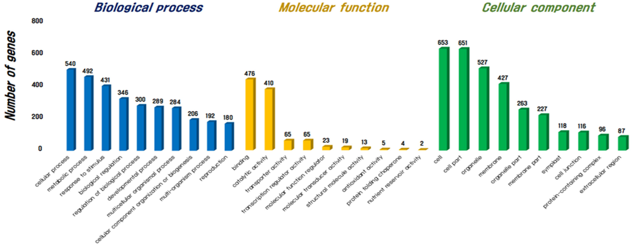 Agronomy 10 00487 g001