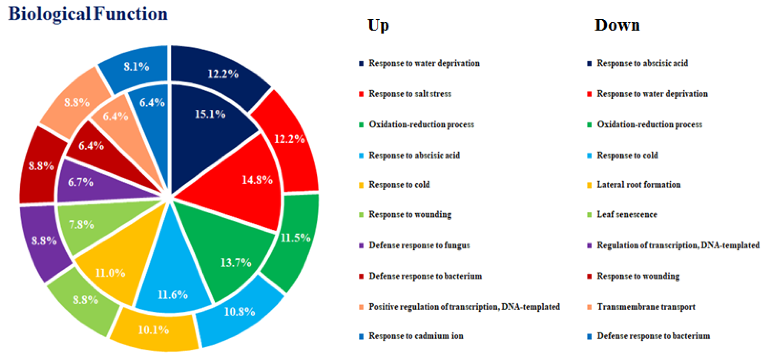 Agronomy 10 00487 g002
