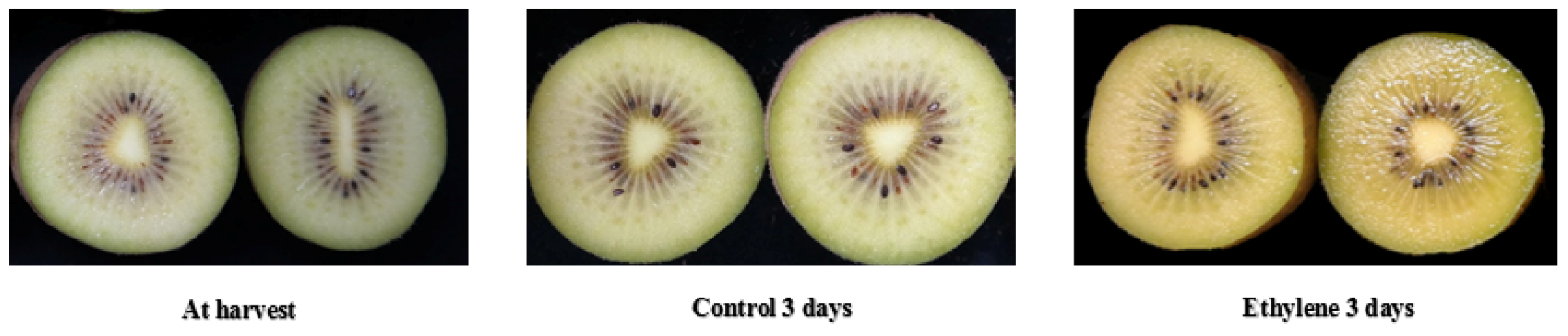 Agronomy 10 00487 g007