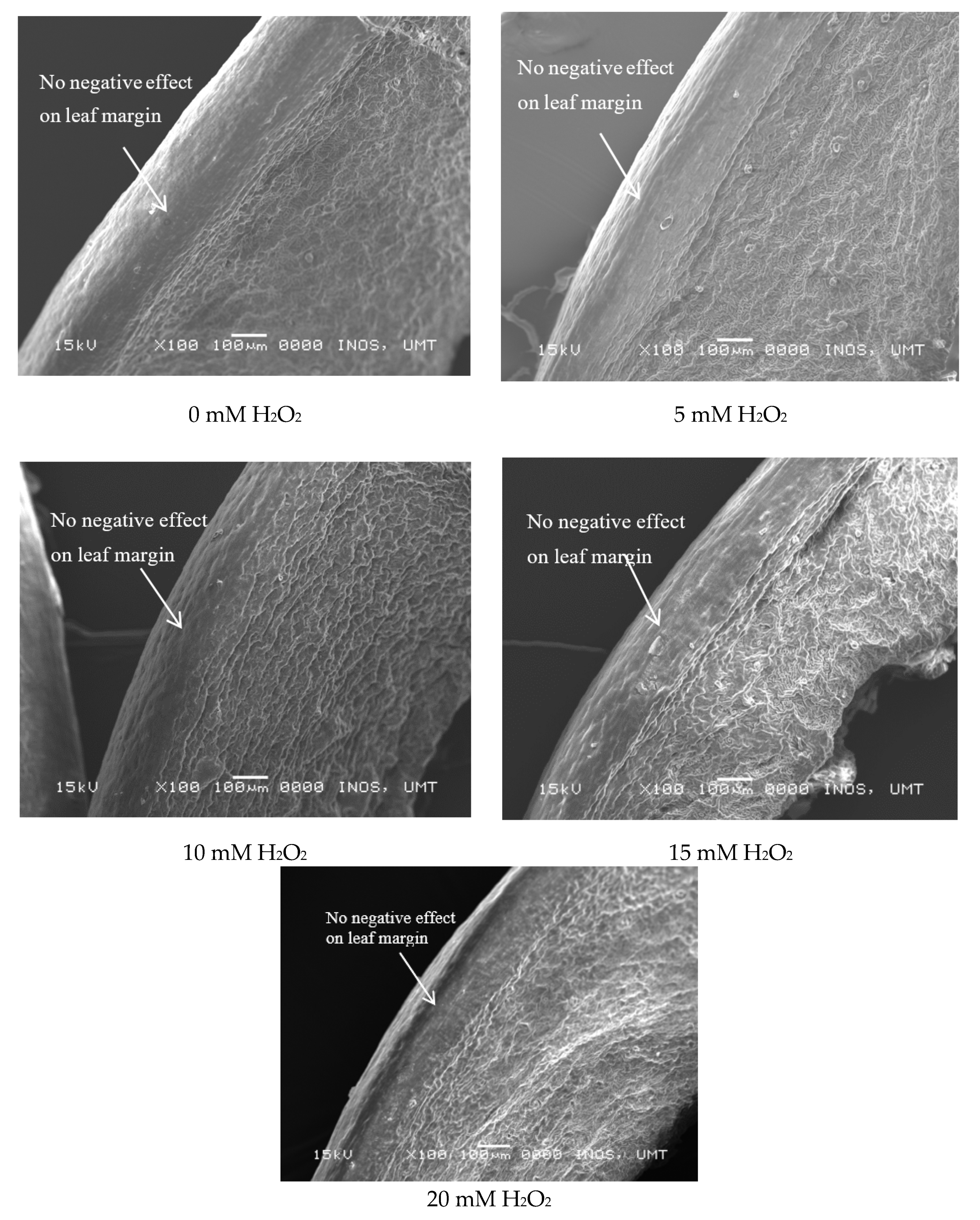Agronomy 10 00497 g004 Agronomy 10 00497 g004