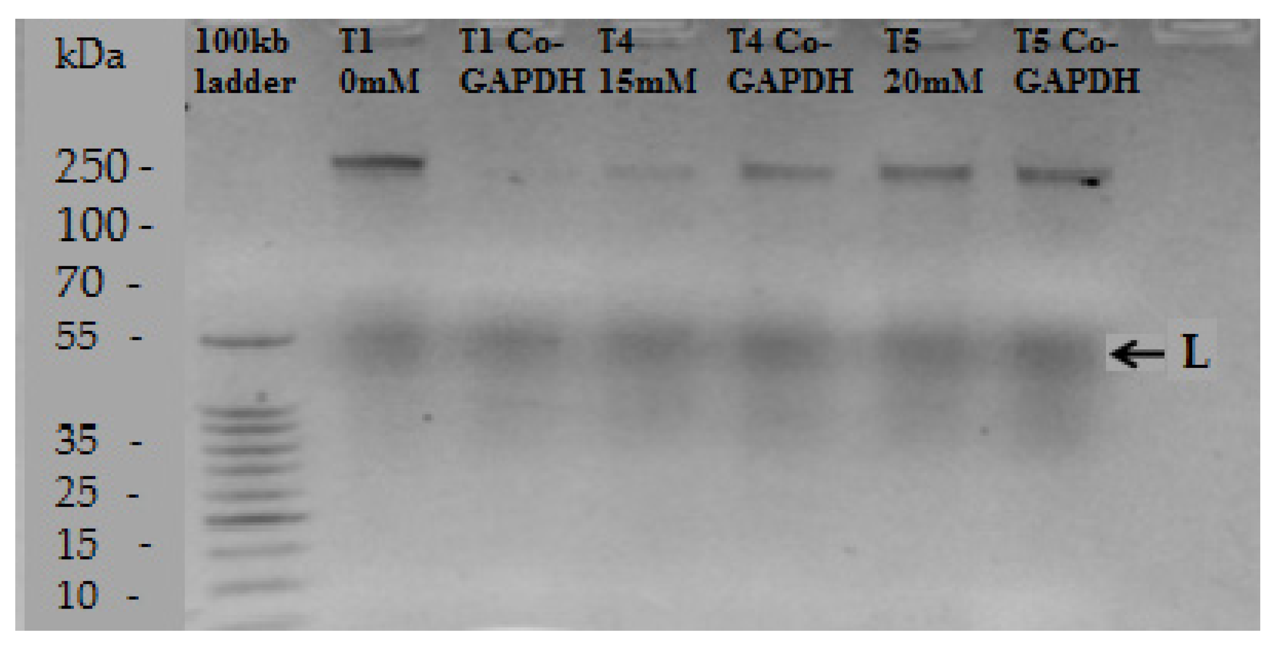 Agronomy 10 00497 g007 Agronomy 10 00497 g007