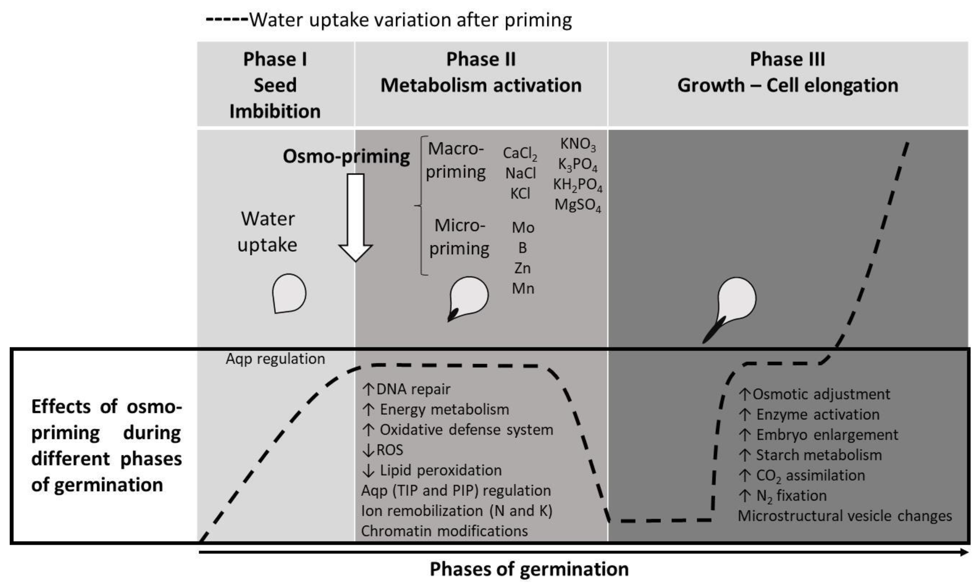 Agronomy 10 00504 g002