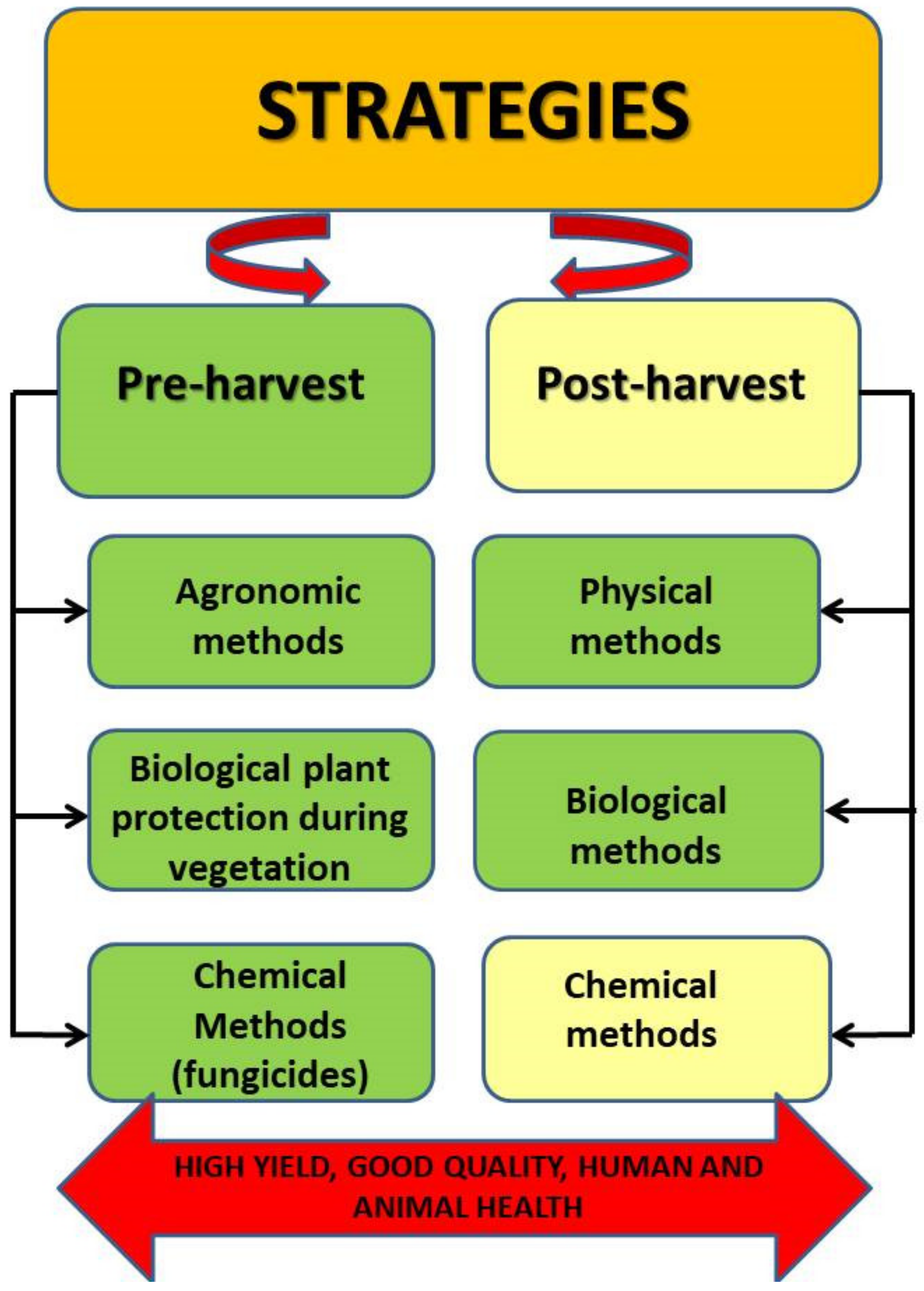Agronomy 10 00509 g001