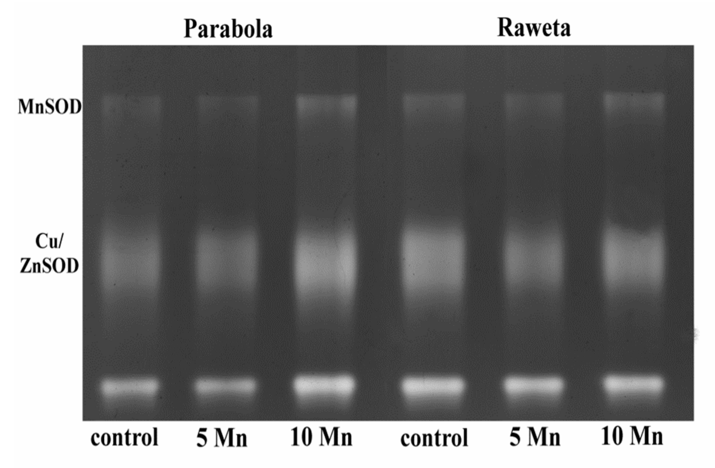 Agronomy 10 00510 g003 Agronomy 10 00510 g003