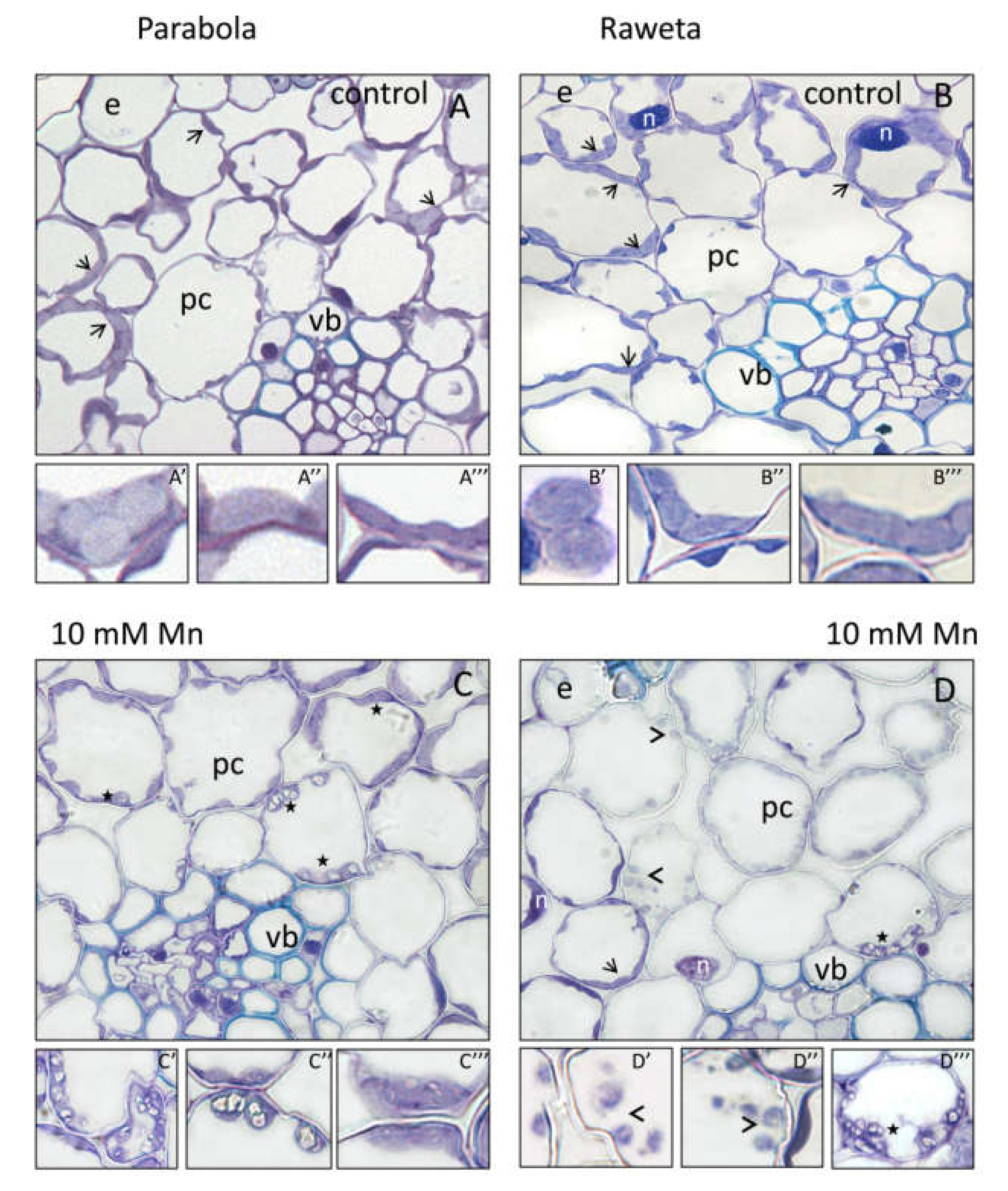 Agronomy 10 00510 g005 Agronomy 10 00510 g005
