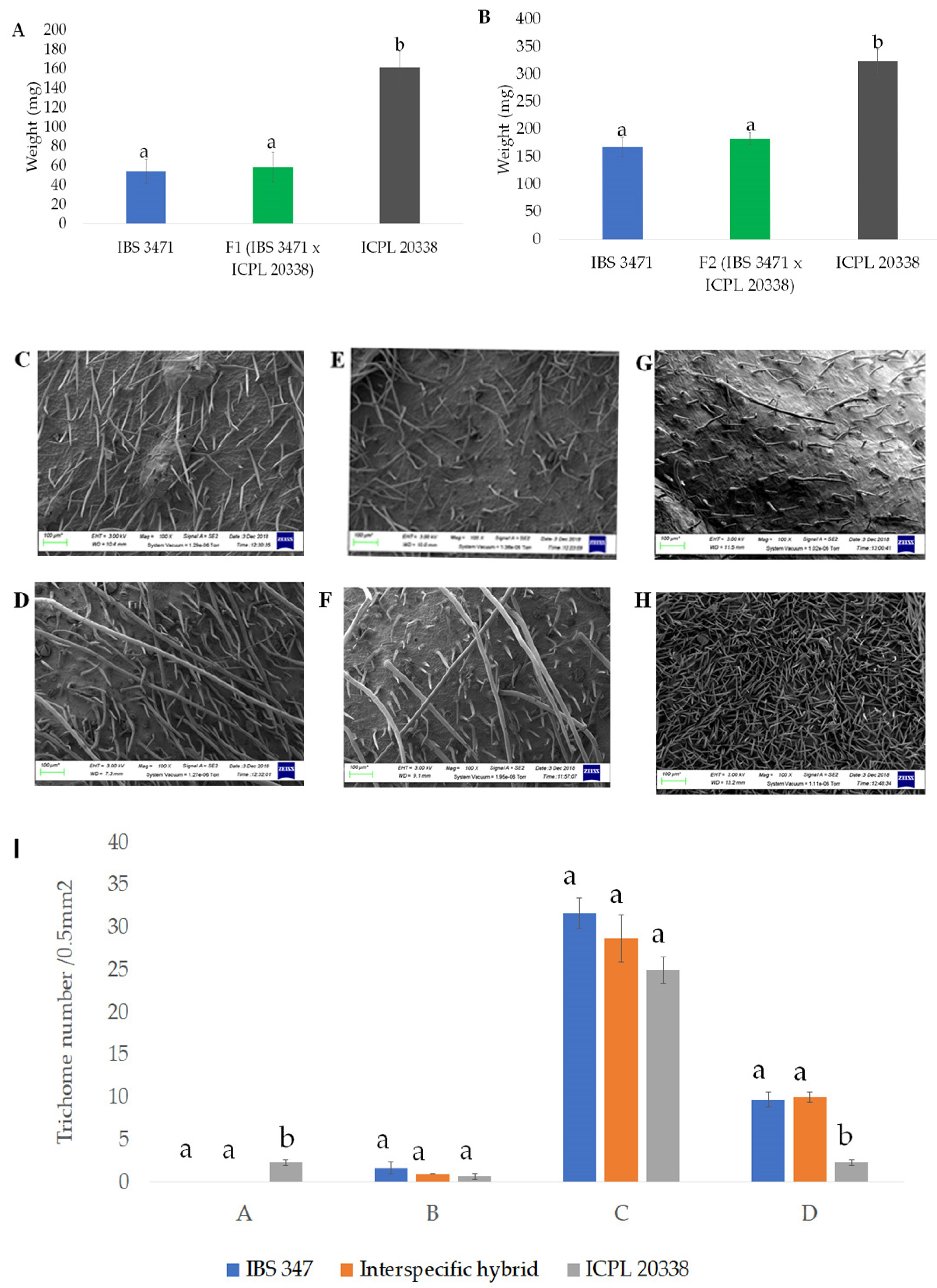 Agronomy 10 00517 g006