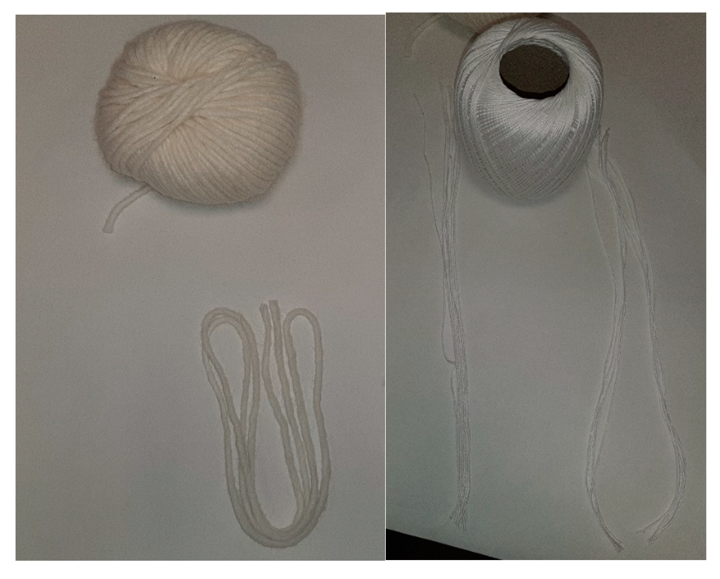 Agronomy 10 00528 g001