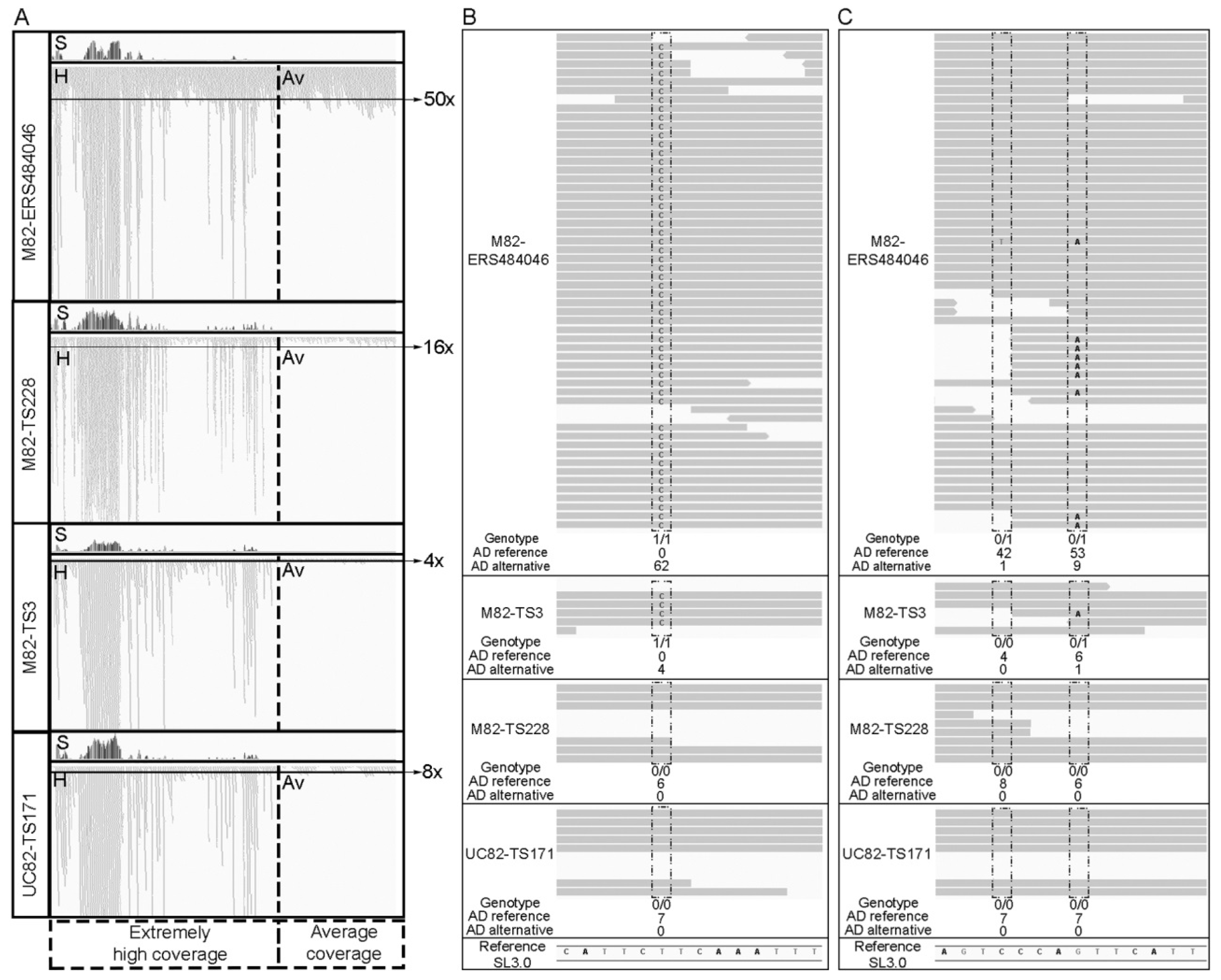 Agronomy 10 00538 g001 Agronomy 10 00538 g001