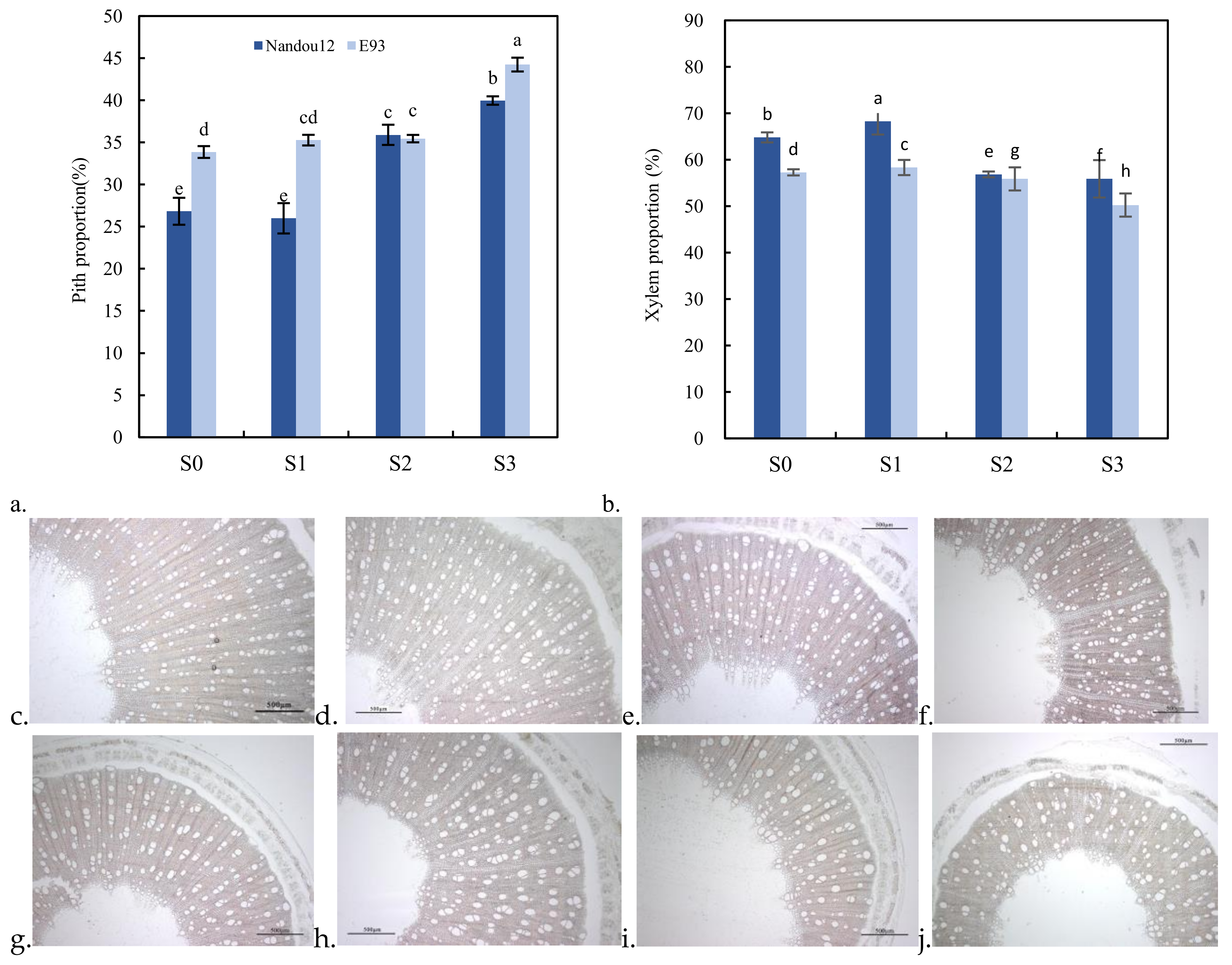 Agronomy 10 00544 g003 Agronomy 10 00544 g003