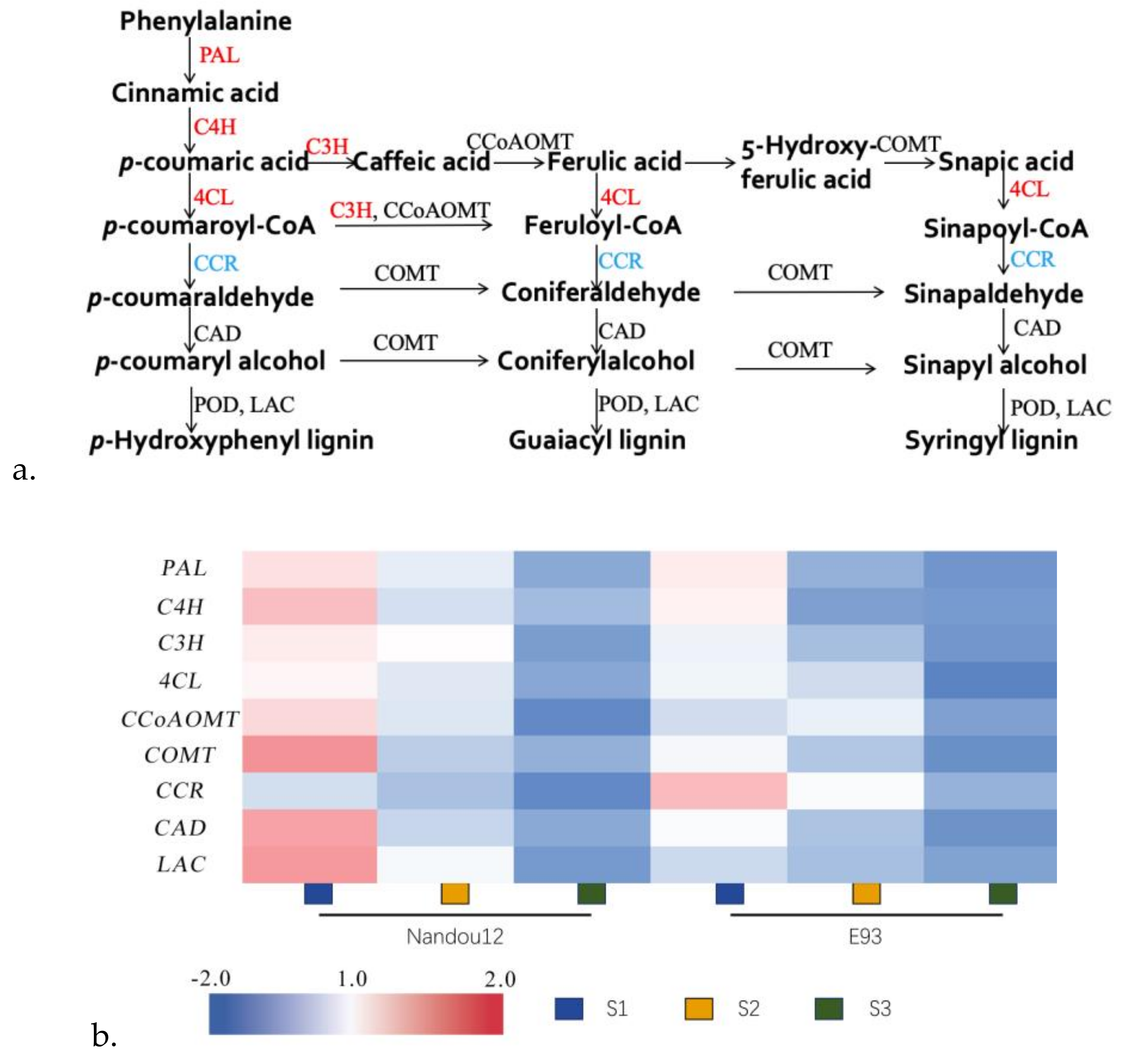 Agronomy 10 00544 g007 Agronomy 10 00544 g007