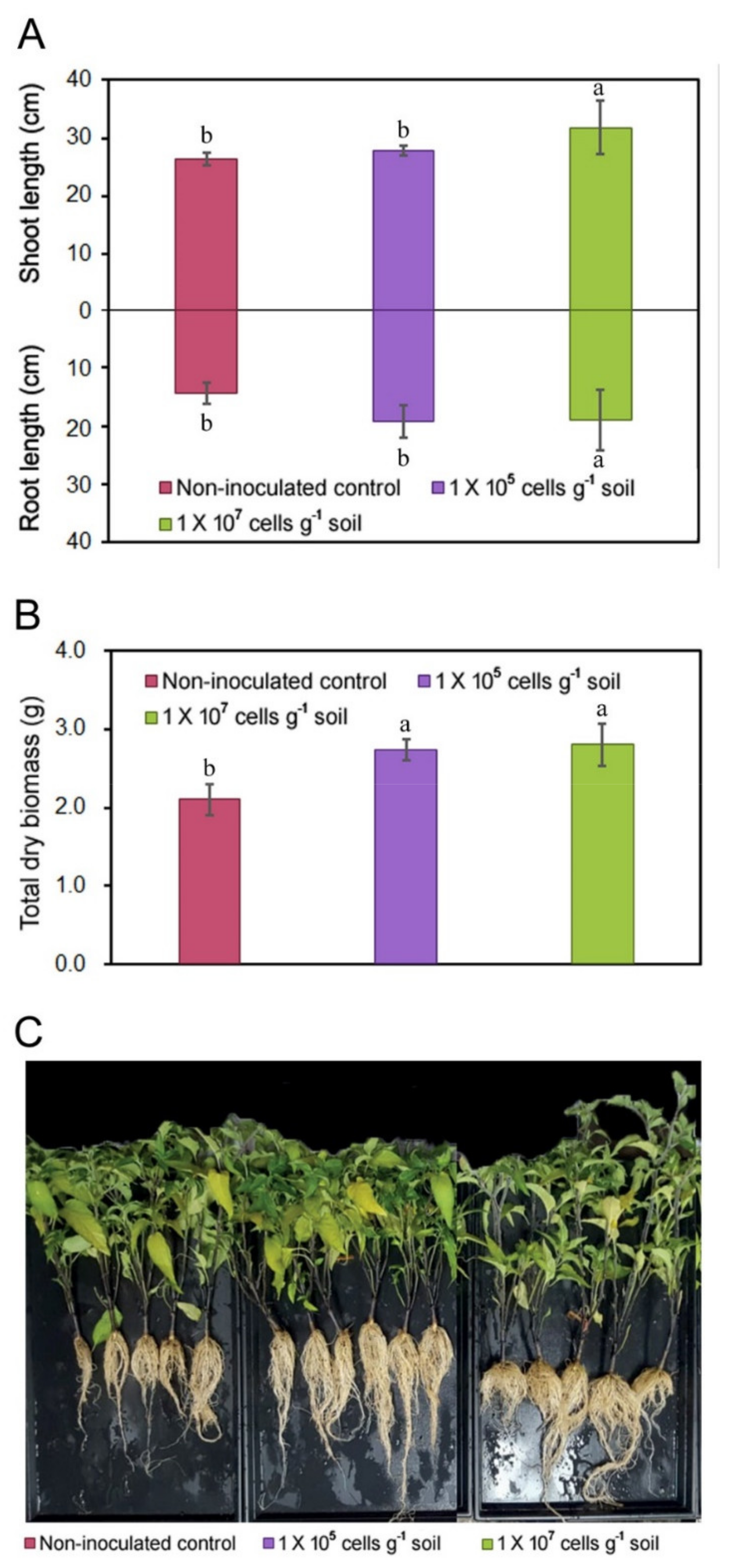 Agronomy 10 00551 g001 Agronomy 10 00551 g001