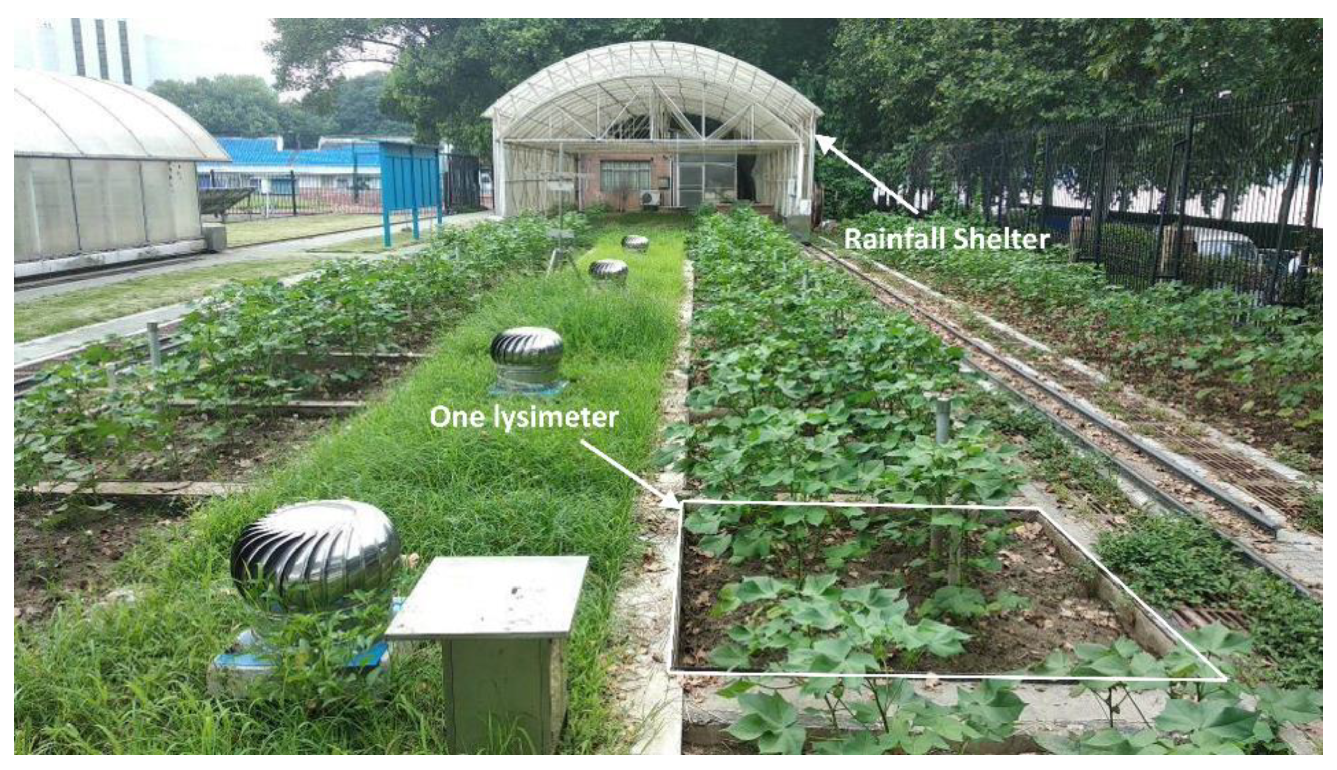 Agronomy 10 00555 g002