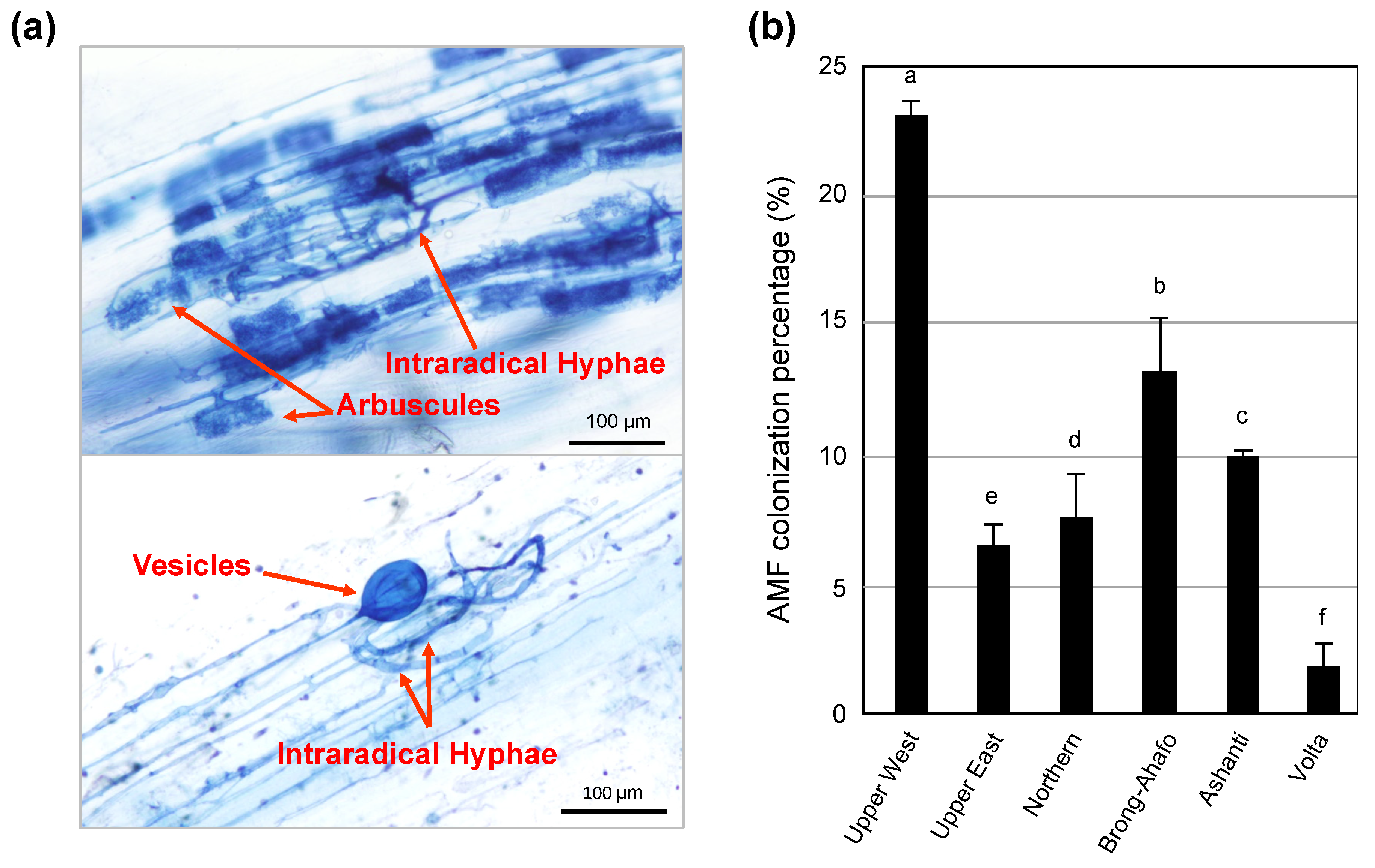 Agronomy 10 00559 g002 Agronomy 10 00559 g002