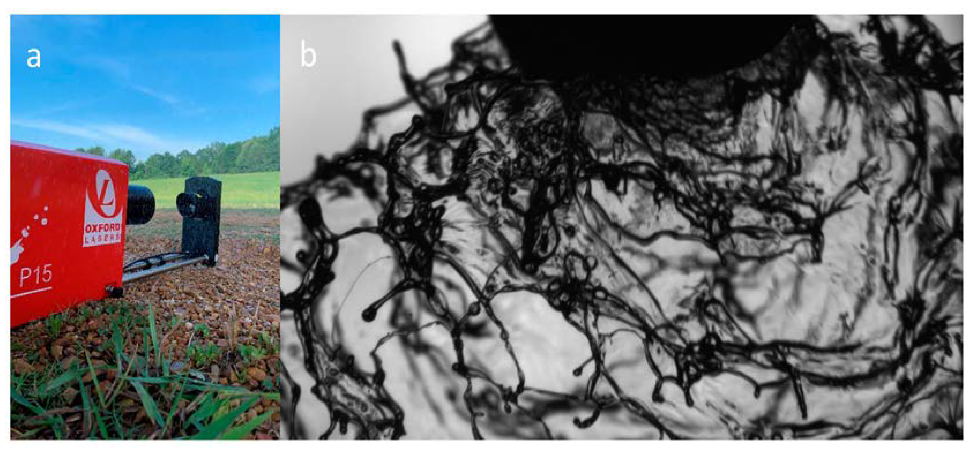 Agronomy 10 00574 g003 Agronomy 10 00574 g003