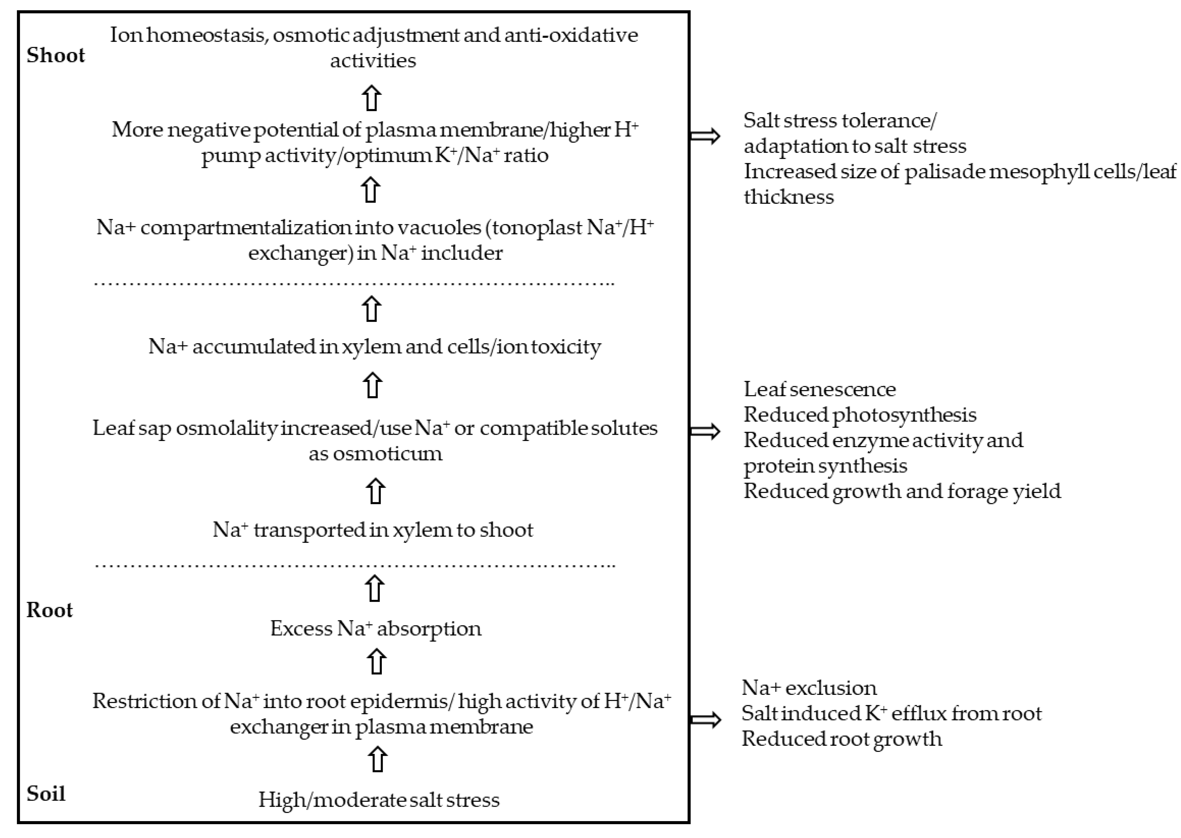 Agronomy 10 00577 g002 Agronomy 10 00577 g002