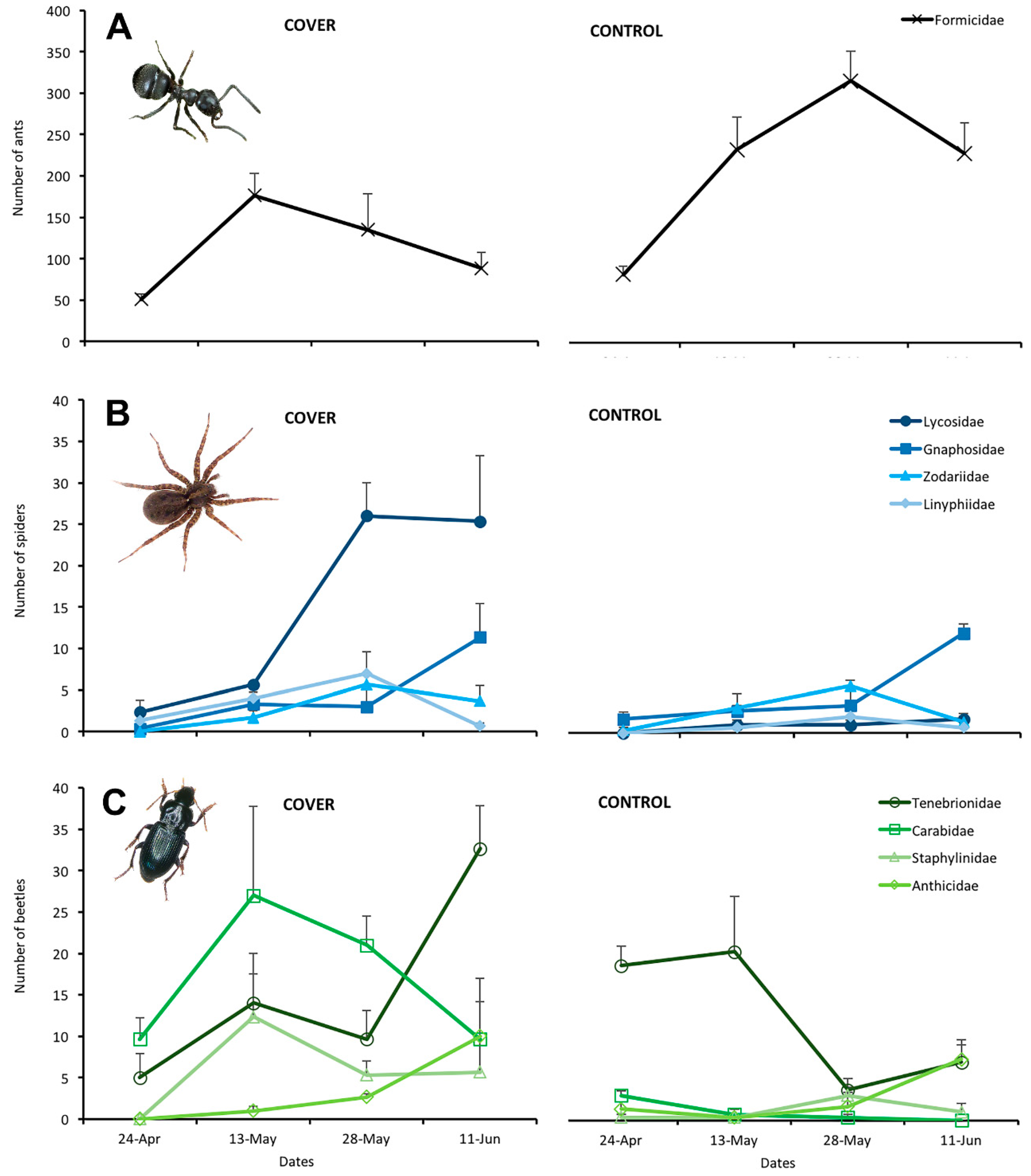 Agronomy 10 00580 g004 Agronomy 10 00580 g004