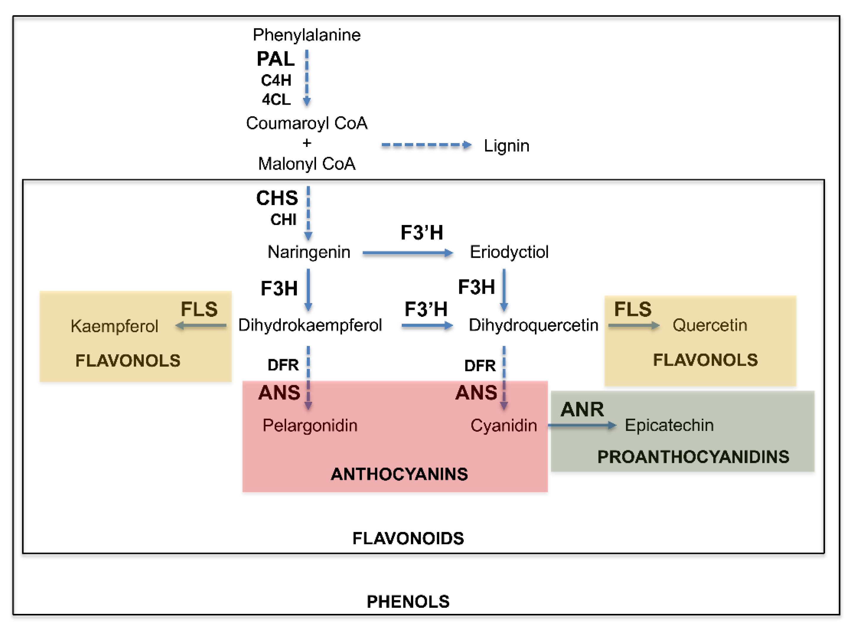 Agronomy 10 00588 g001 Agronomy 10 00588 g001