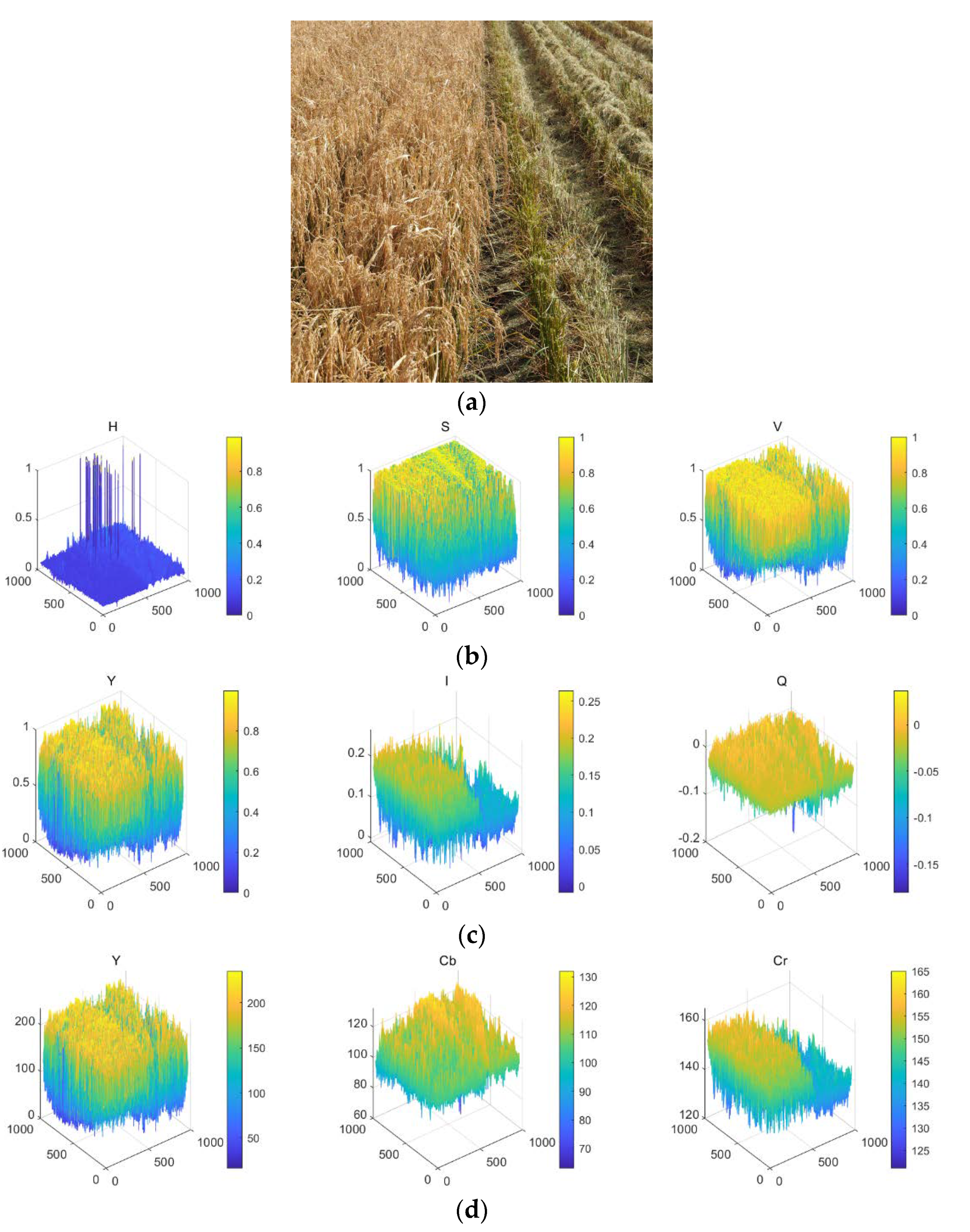 Agronomy 10 00590 g002