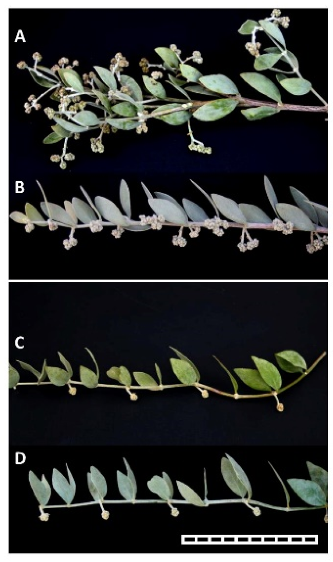 Agronomy 10 00592 g001 Agronomy 10 00592 g001
