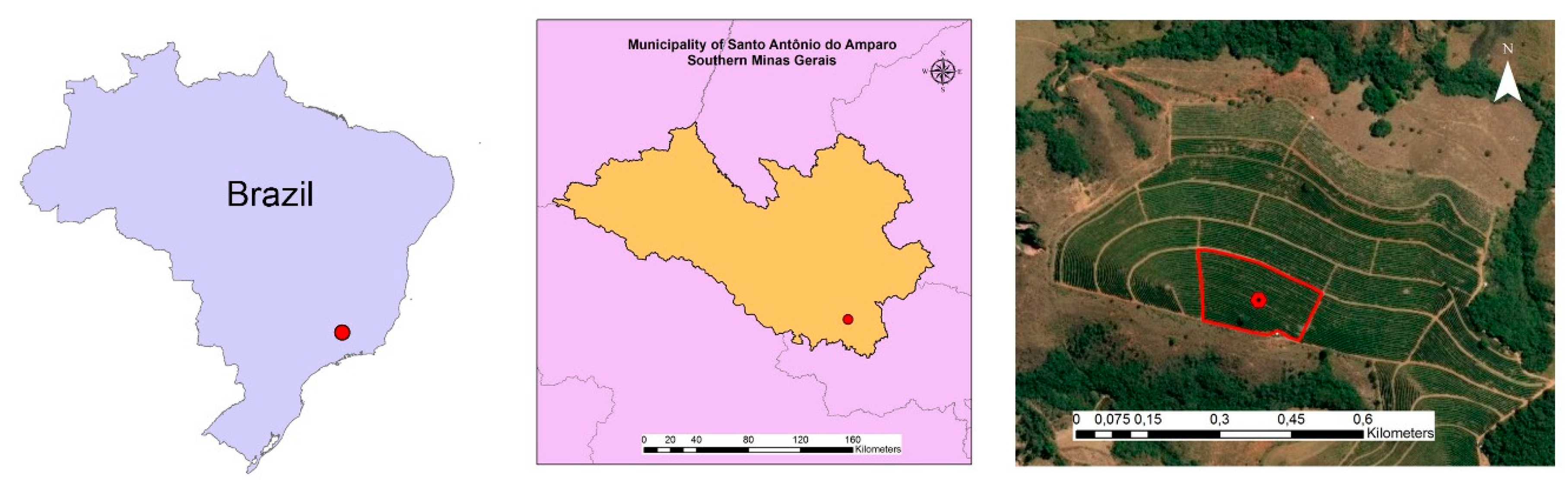 Agronomy 10 00601 g001