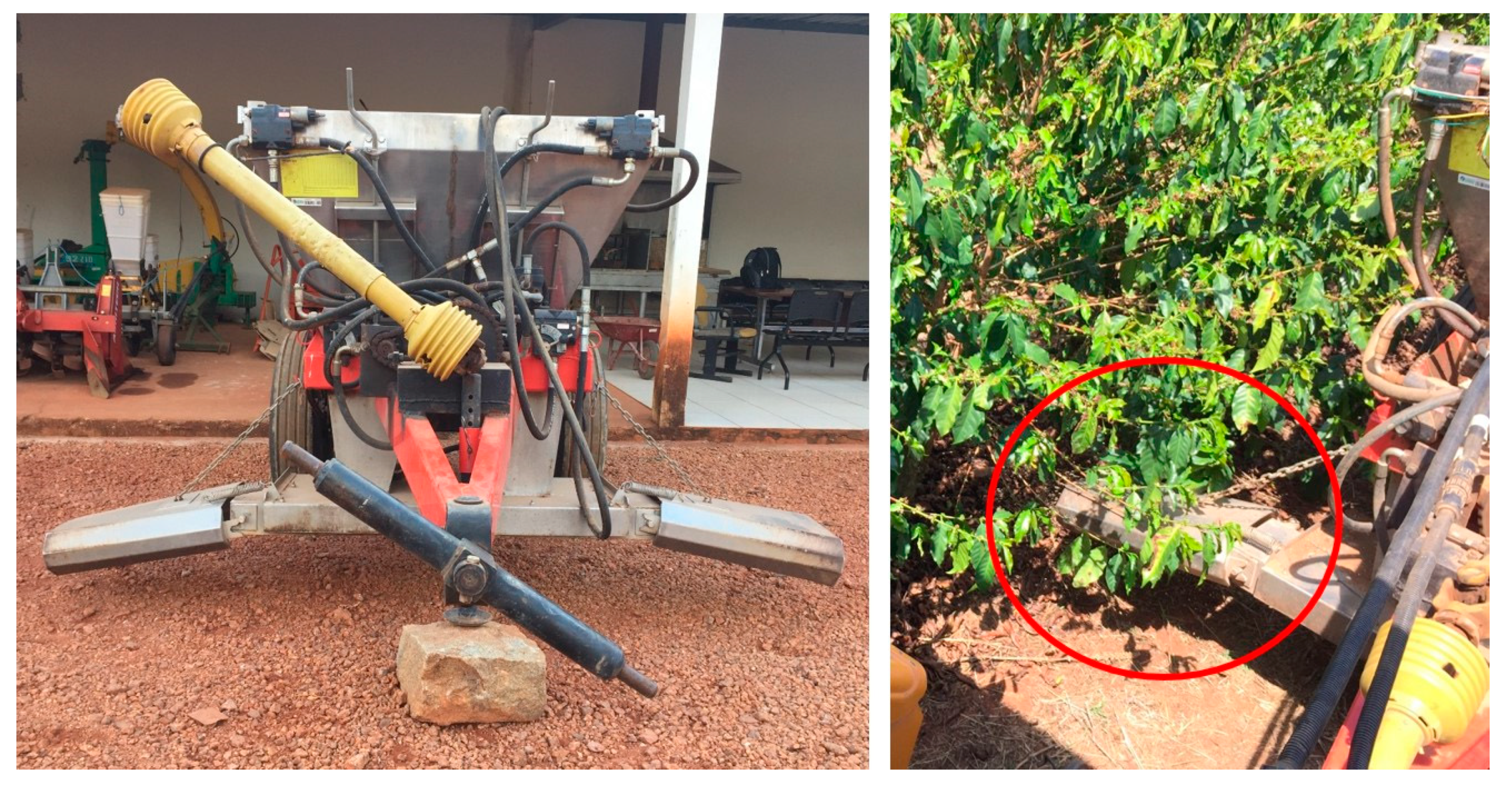 Agronomy 10 00601 g002