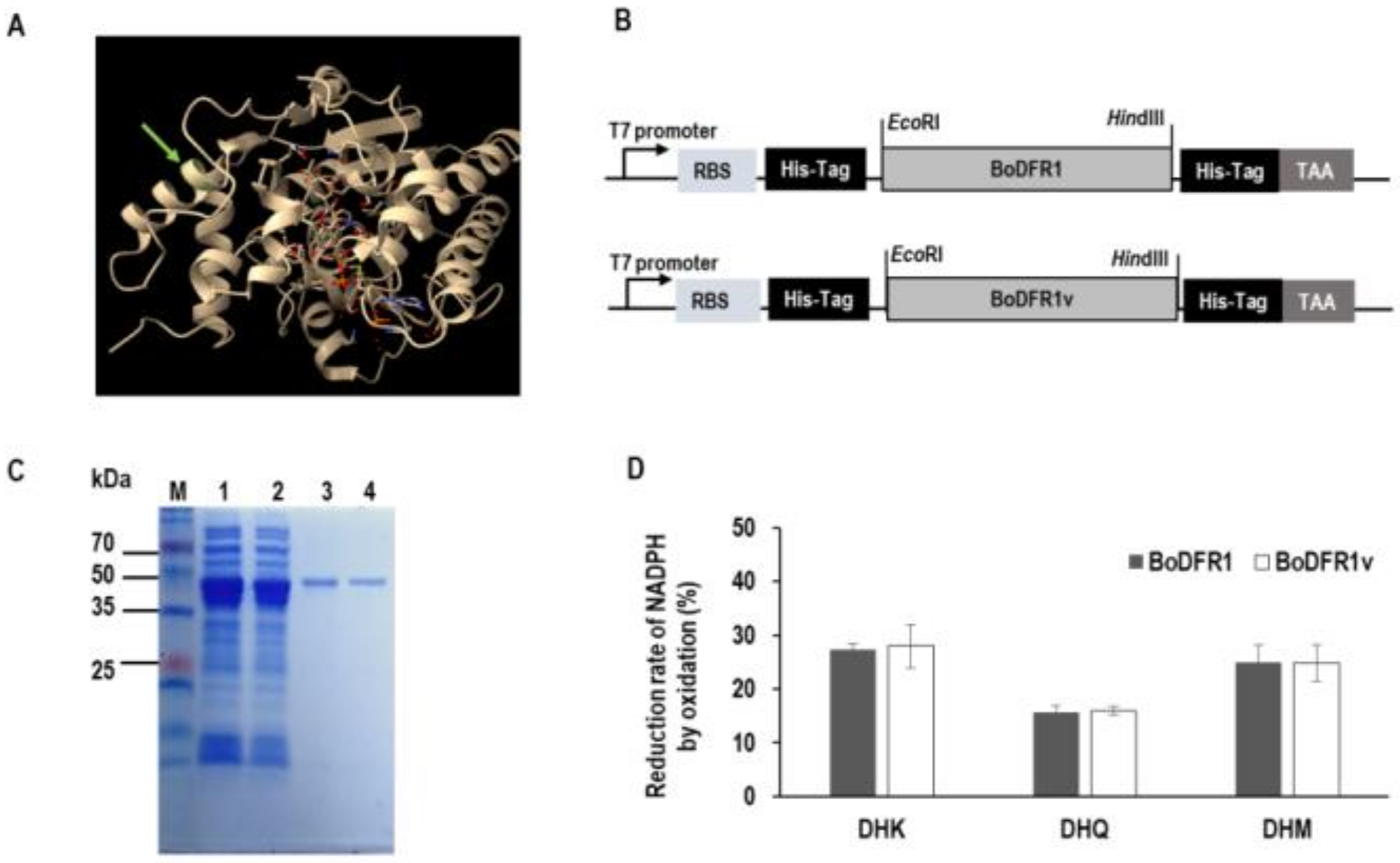 Agronomy 10 00602 g006 Agronomy 10 00602 g006