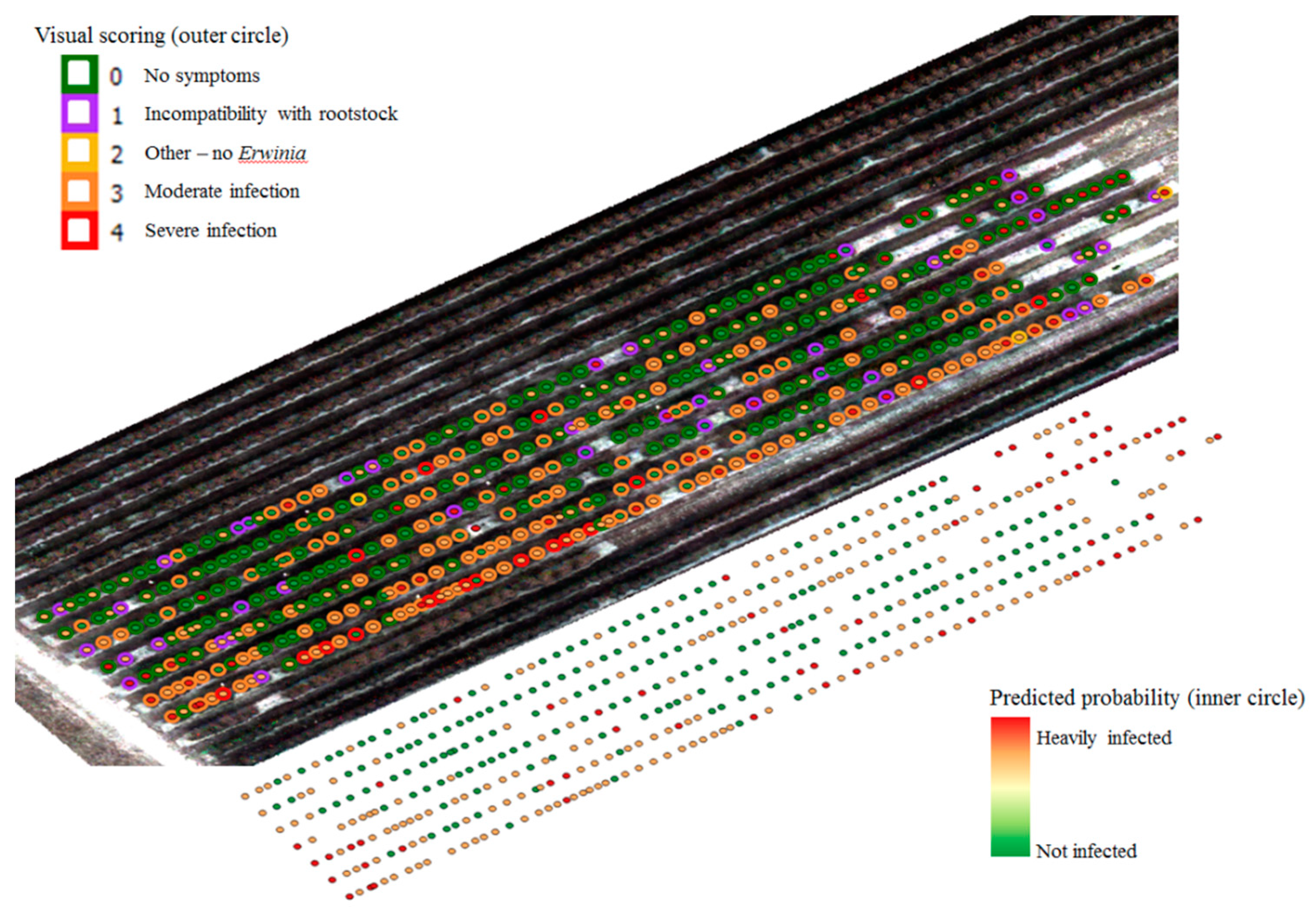 Agronomy 10 00615 g003