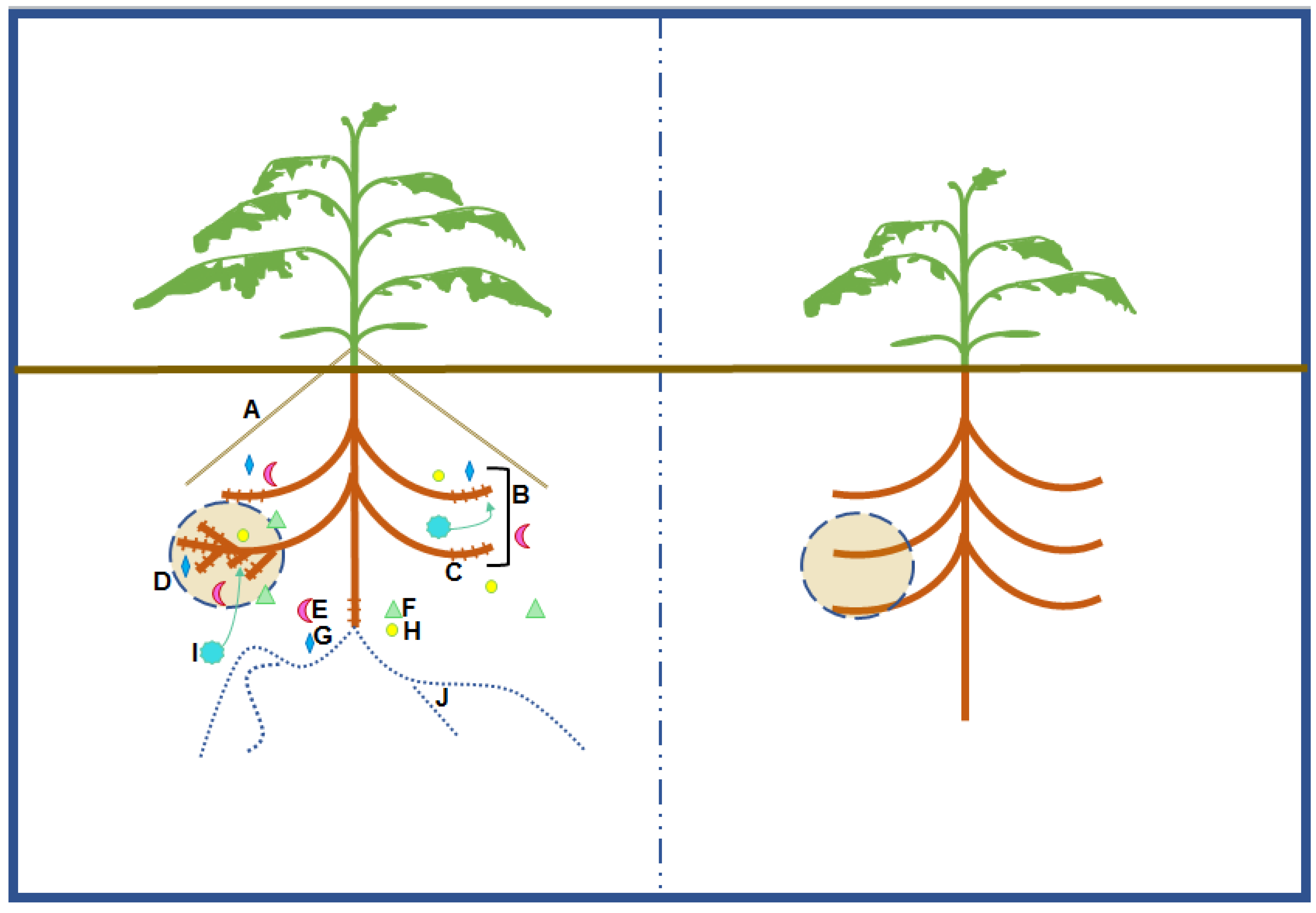 Agronomy 10 00617 g001 Agronomy 10 00617 g001