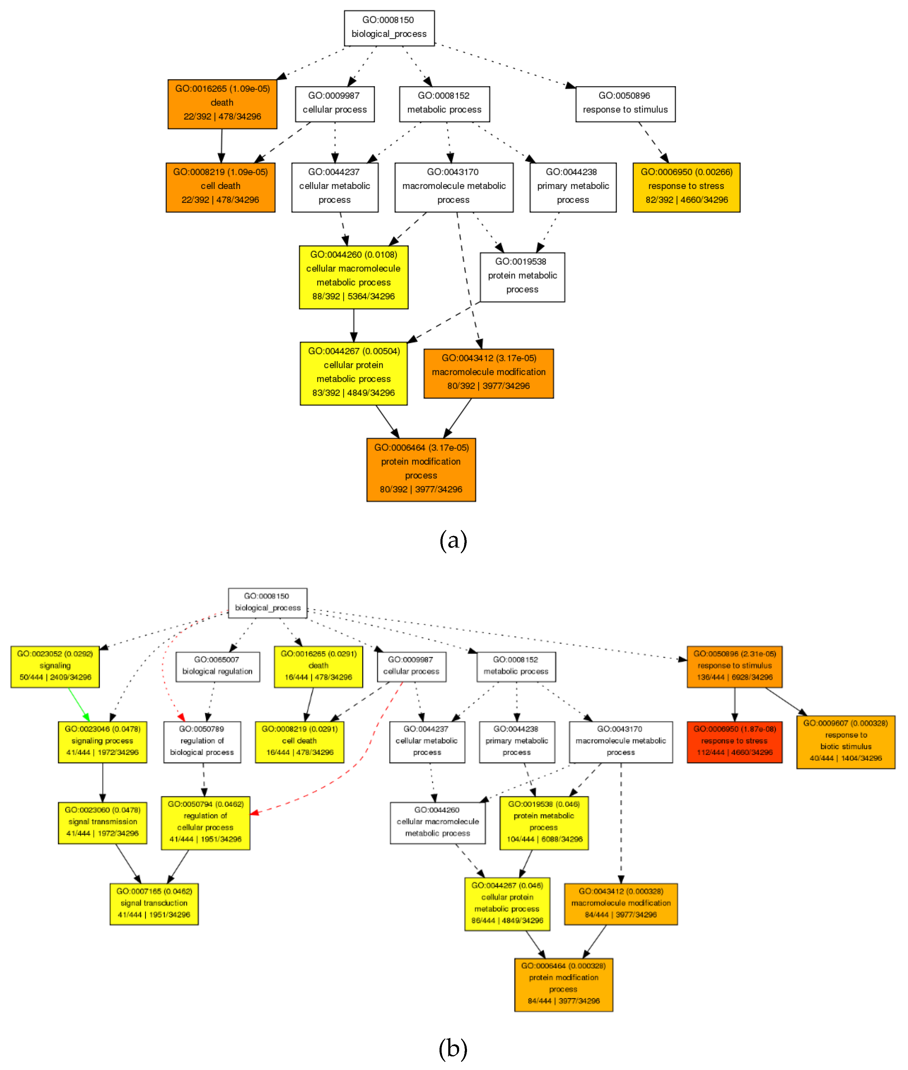 Agronomy 10 00621 g004 Agronomy 10 00621 g004