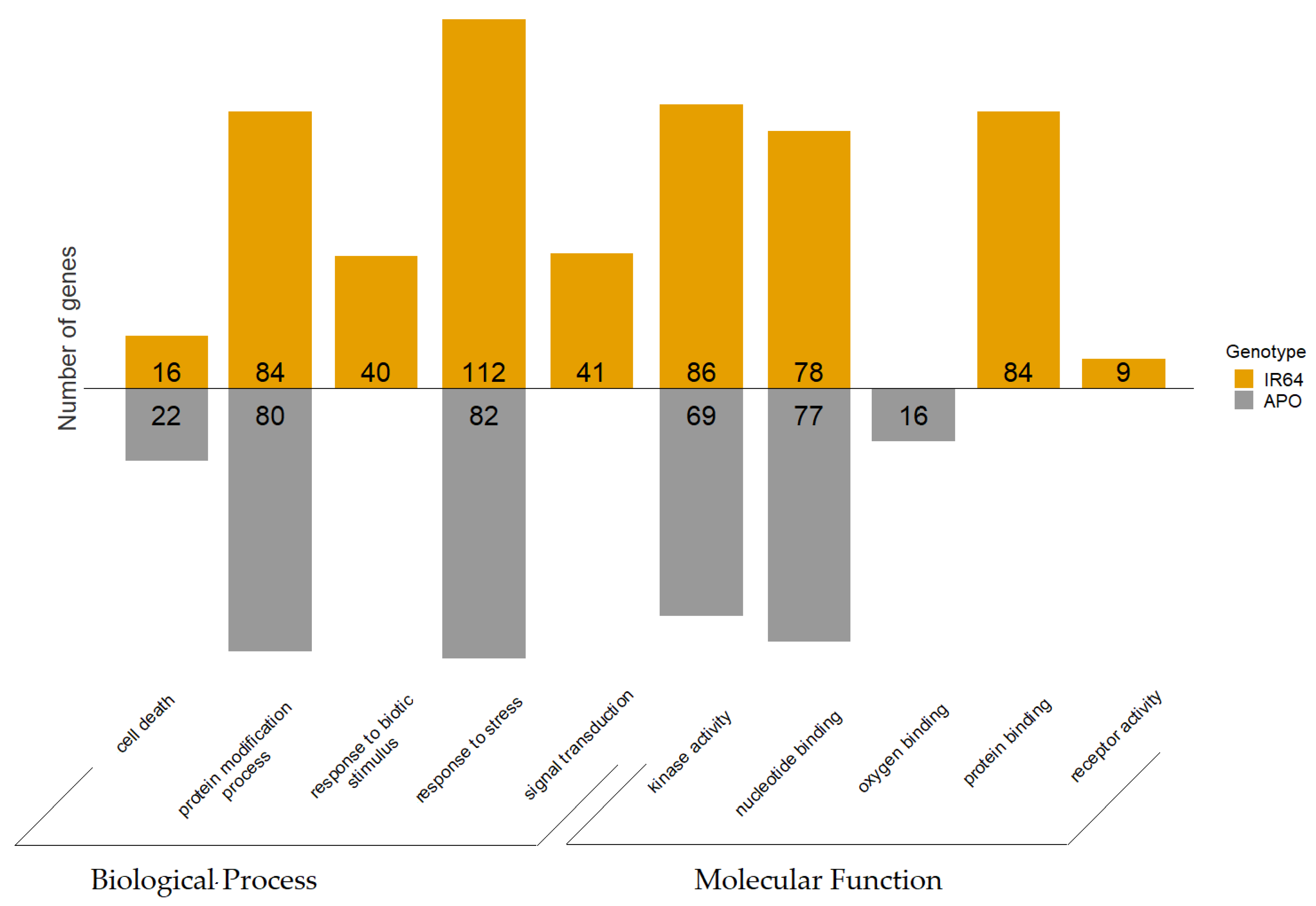 Agronomy 10 00621 g006 Agronomy 10 00621 g006