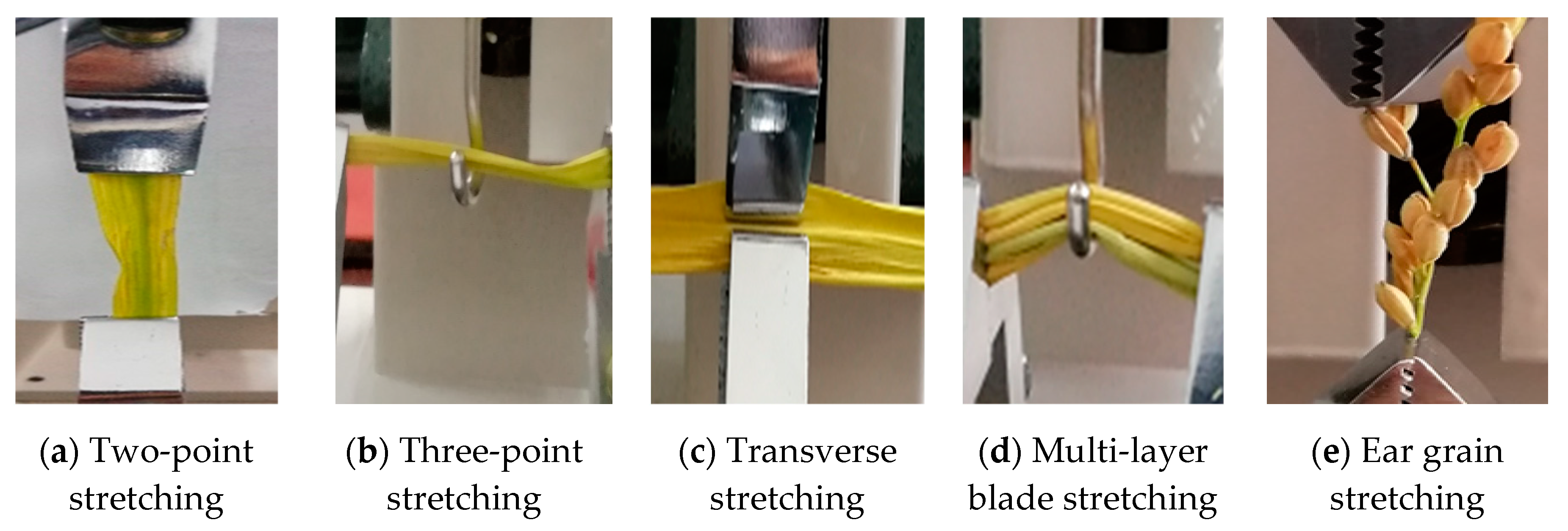 Agronomy 10 00628 g004