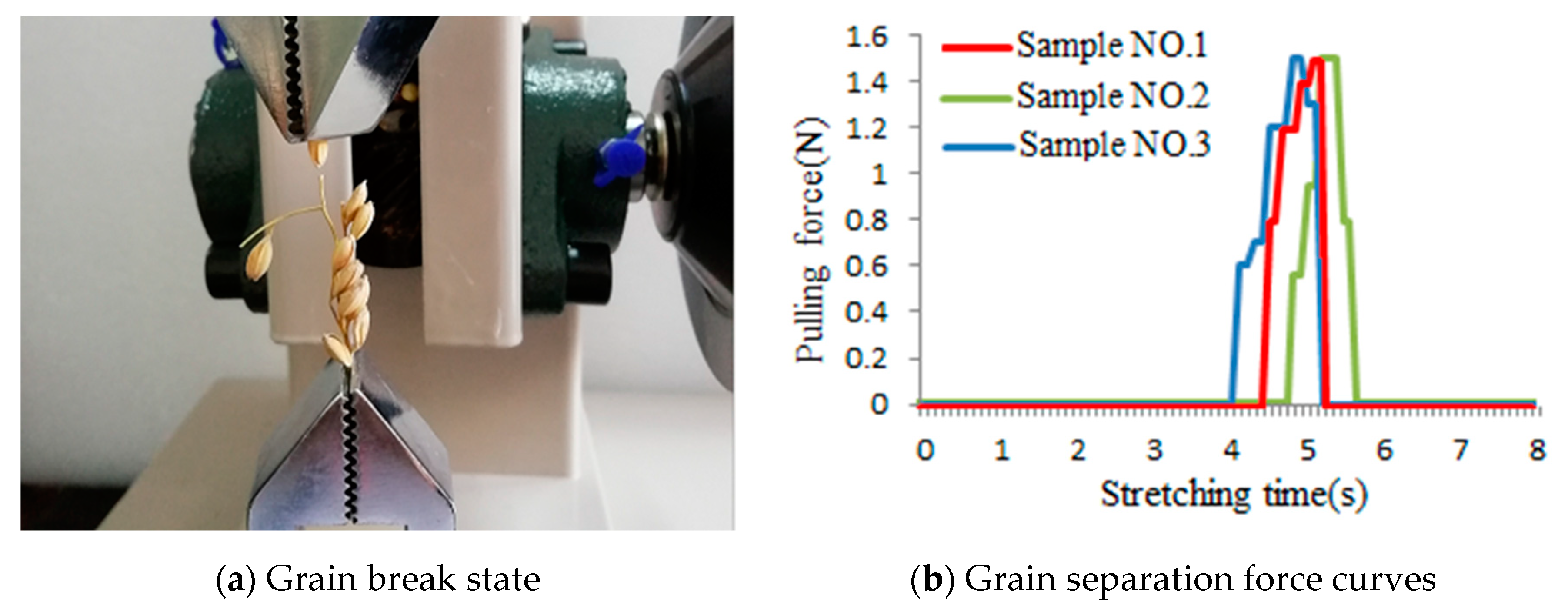 Agronomy 10 00628 g007