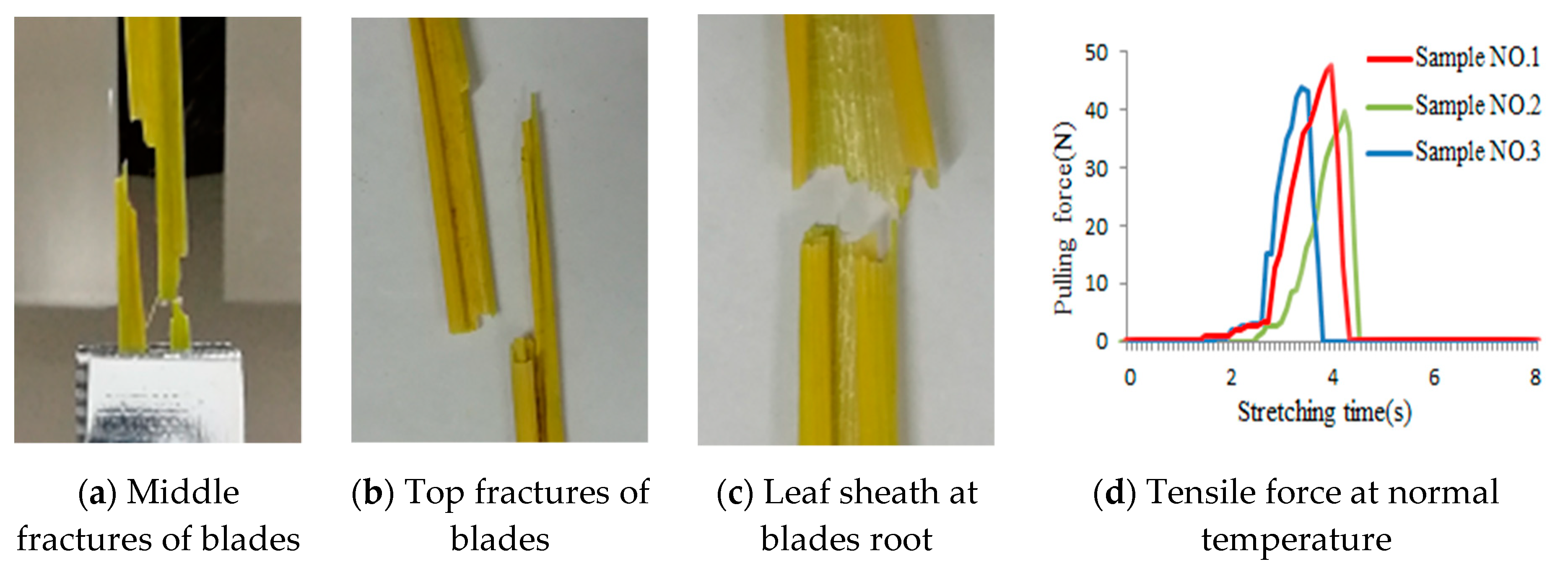 Agronomy 10 00628 g010