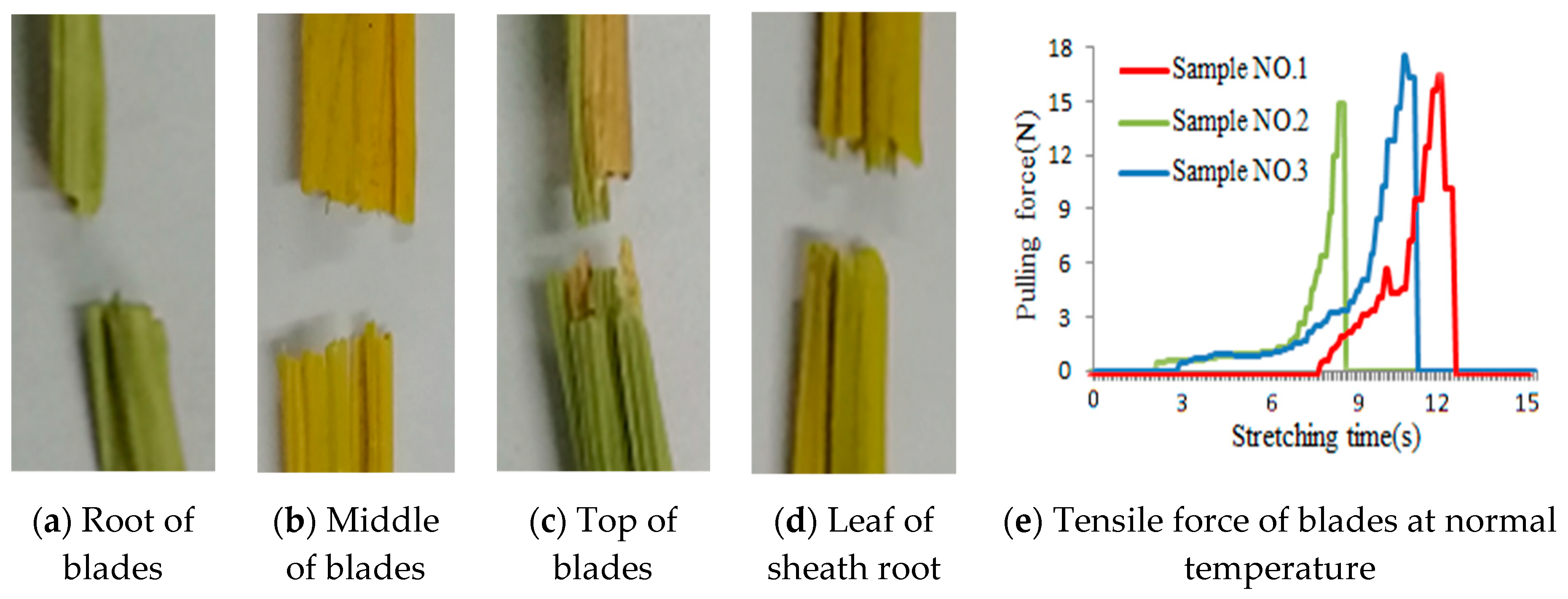 Agronomy 10 00628 g011