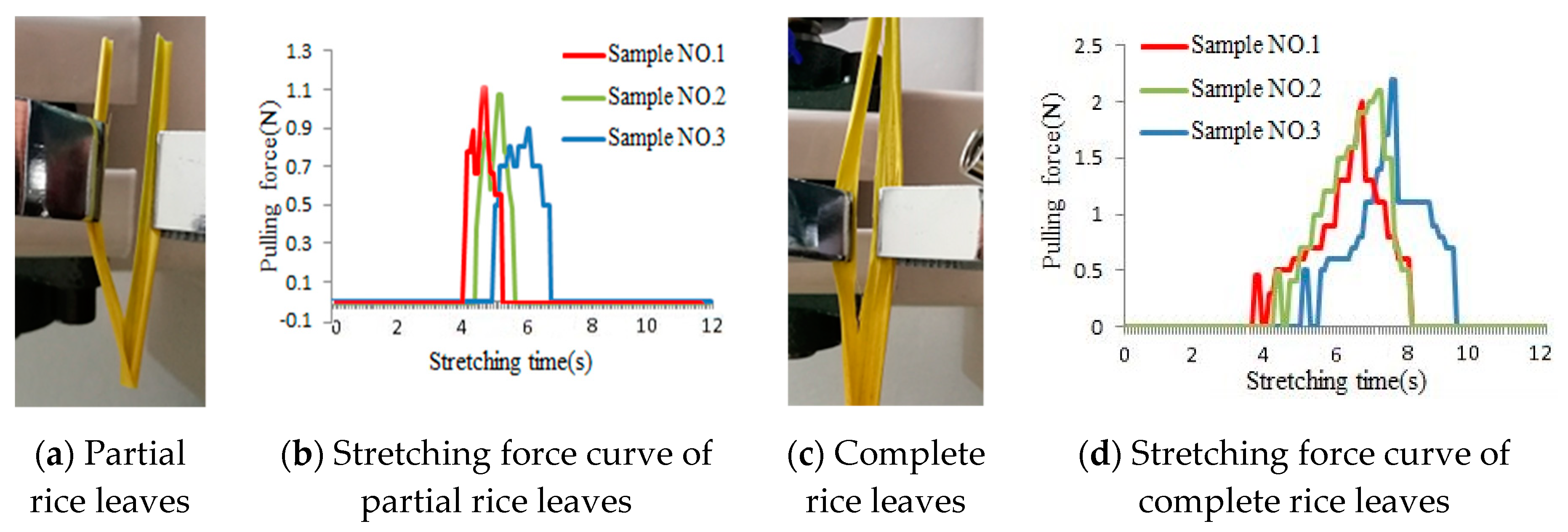 Agronomy 10 00628 g012