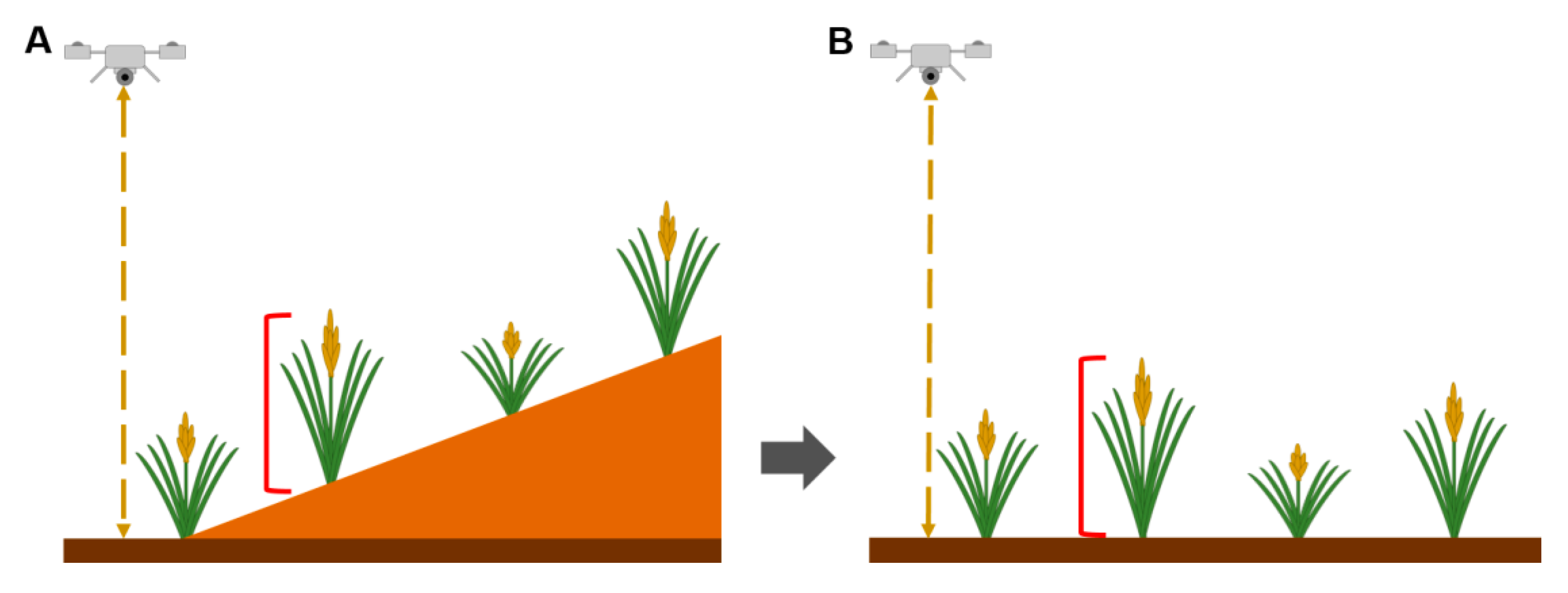 Agronomy 10 00633 g002