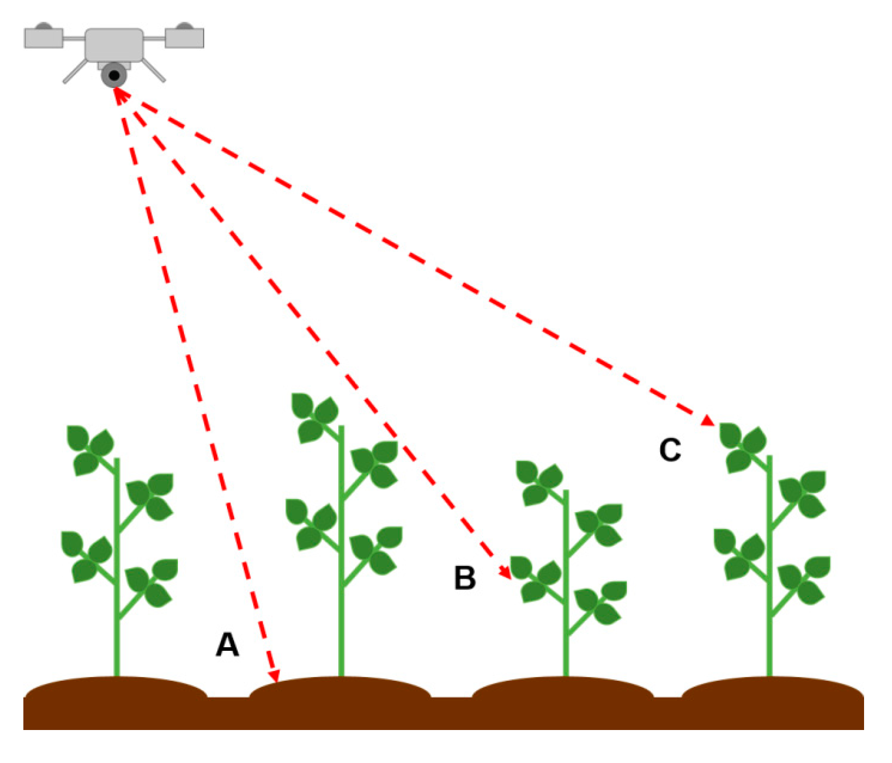 Agronomy 10 00633 g003
