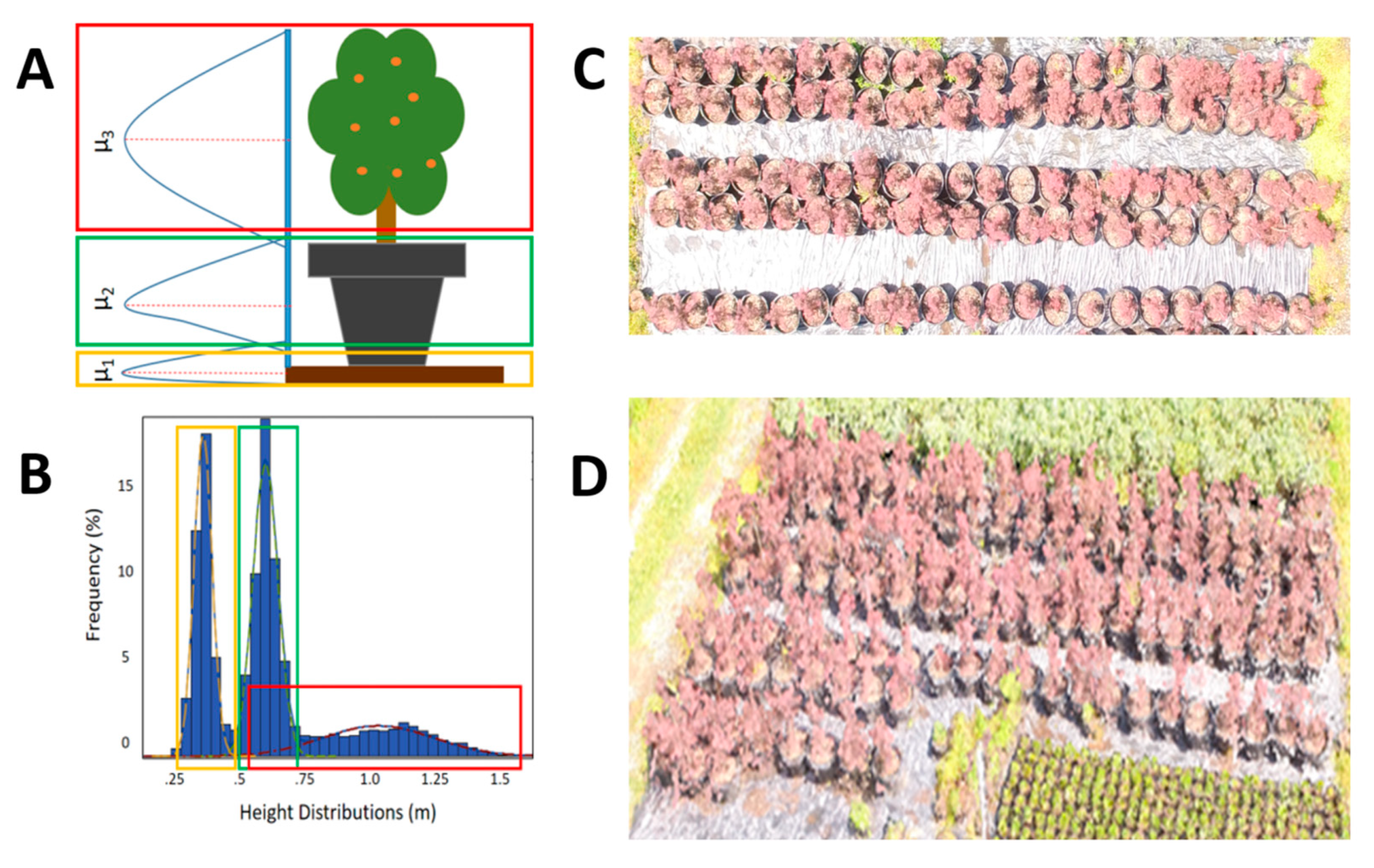 Agronomy 10 00633 g004