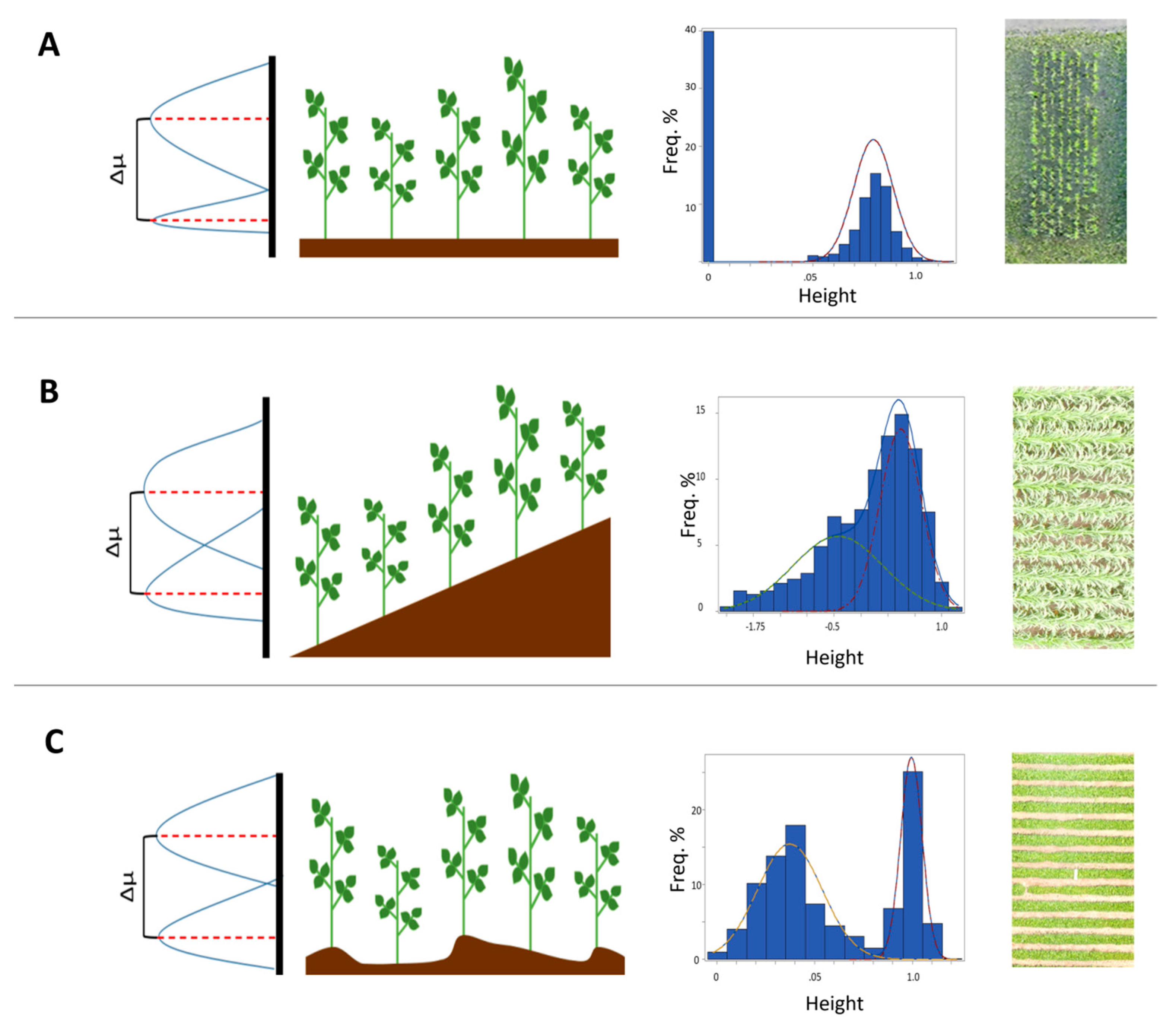 Agronomy 10 00633 g006