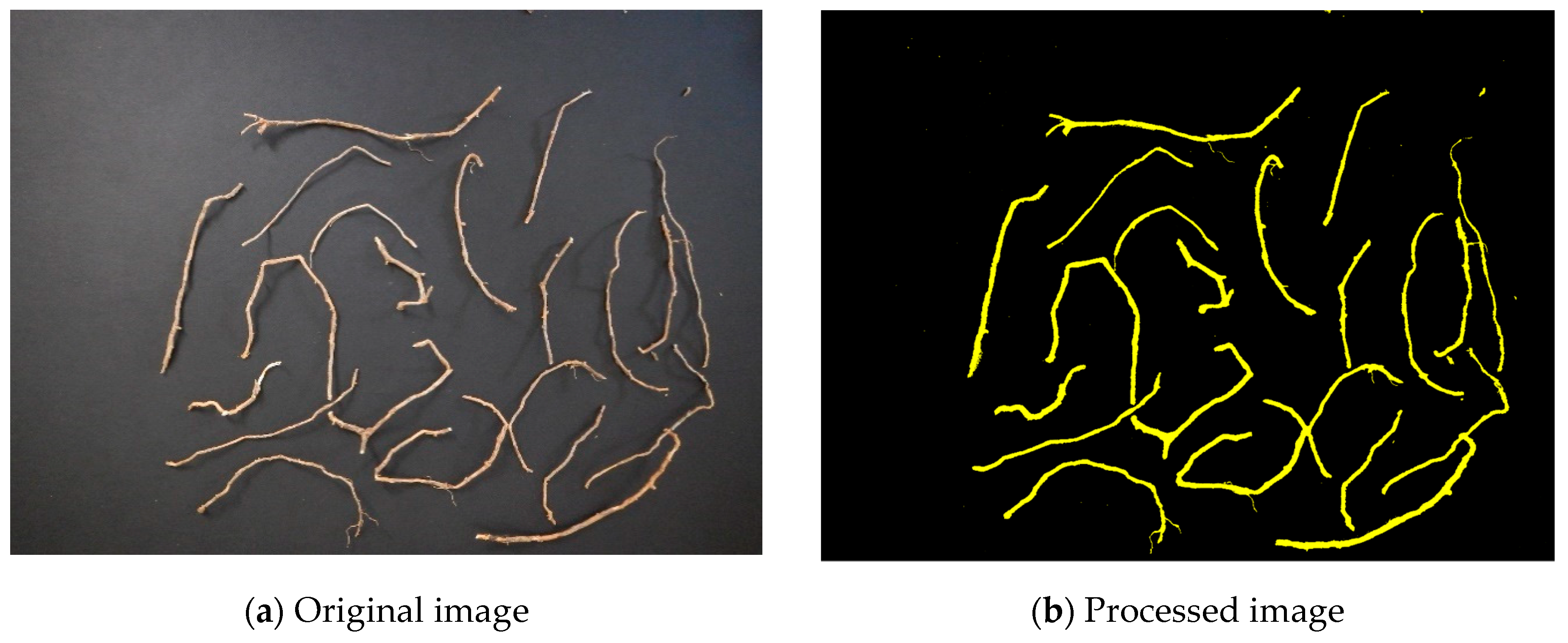Agronomy 10 00635 g001 Agronomy 10 00635 g001