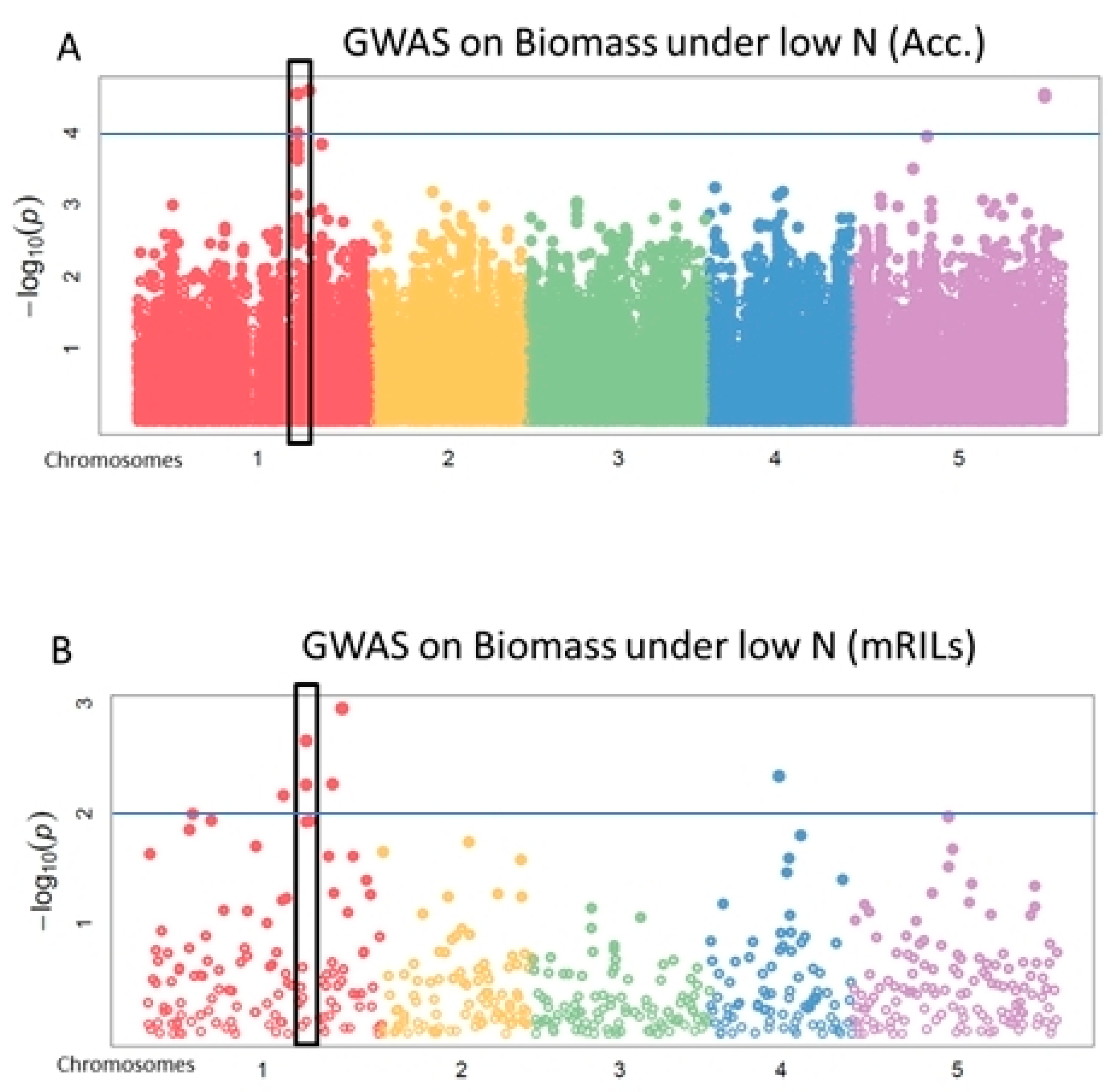 Agronomy 10 00636 g002