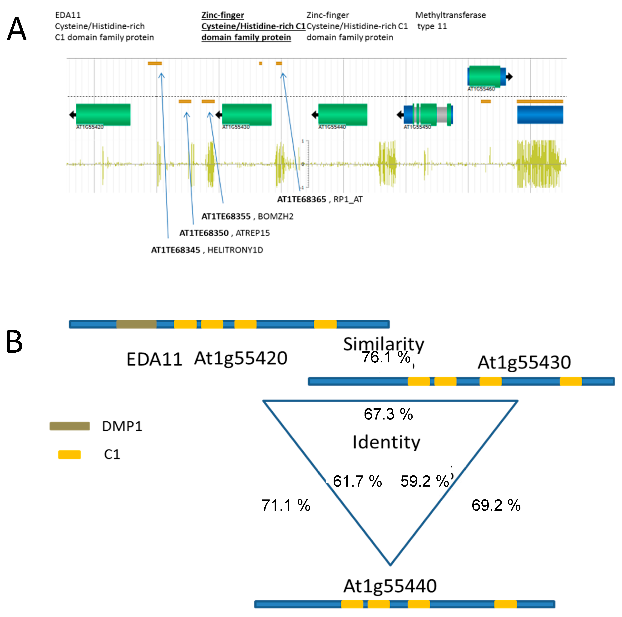 Agronomy 10 00636 g003