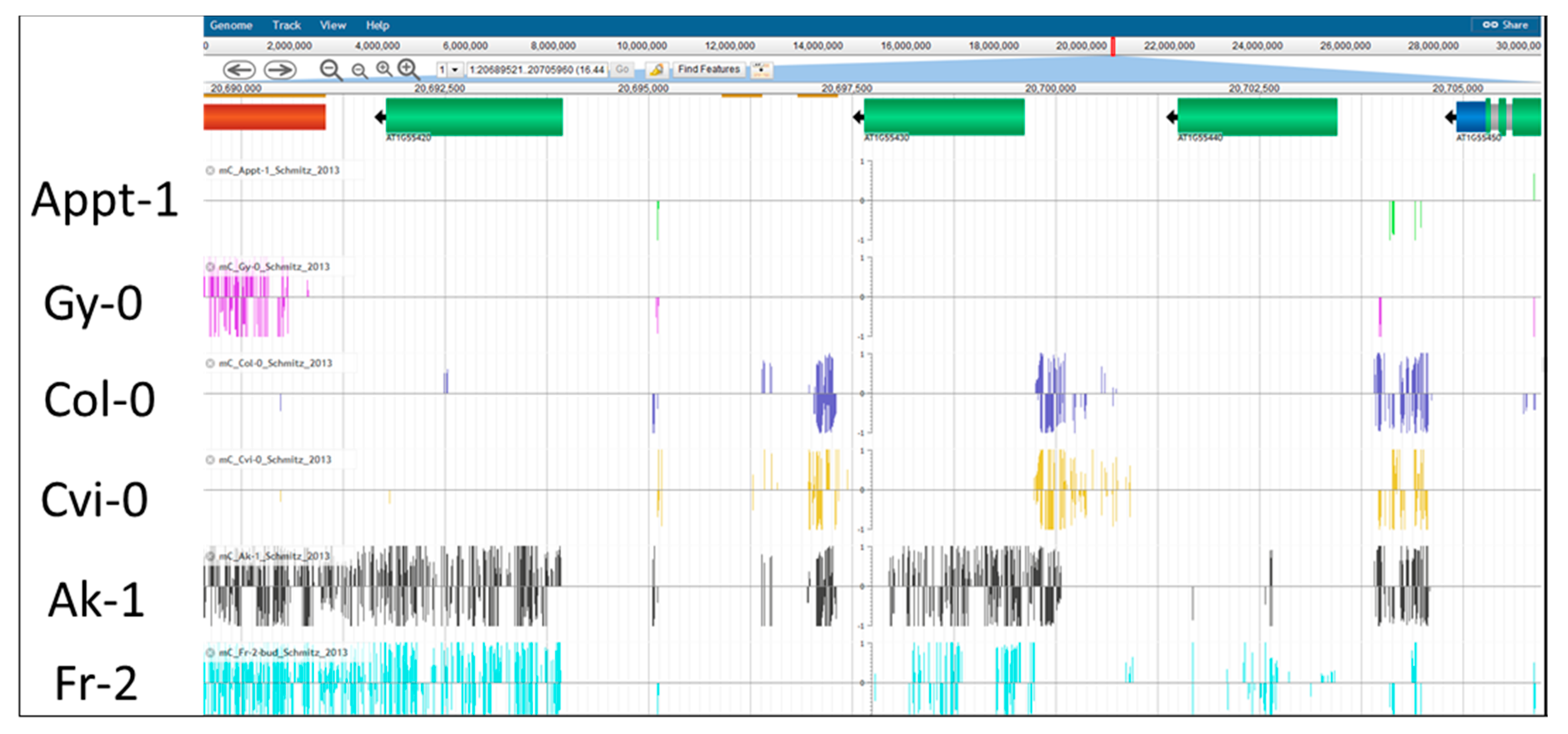 Agronomy 10 00636 g004