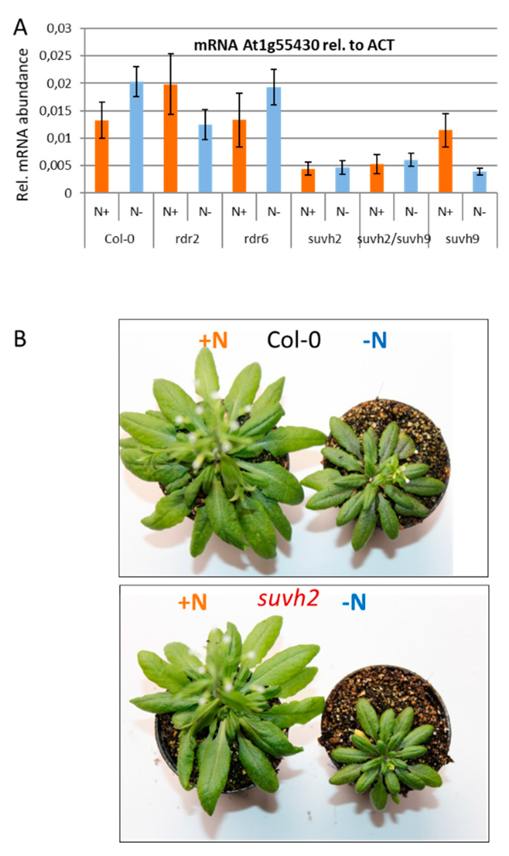 Agronomy 10 00636 g008